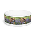 Ceramic Pet Bowl – 16 oz Dog Feeding Bowl