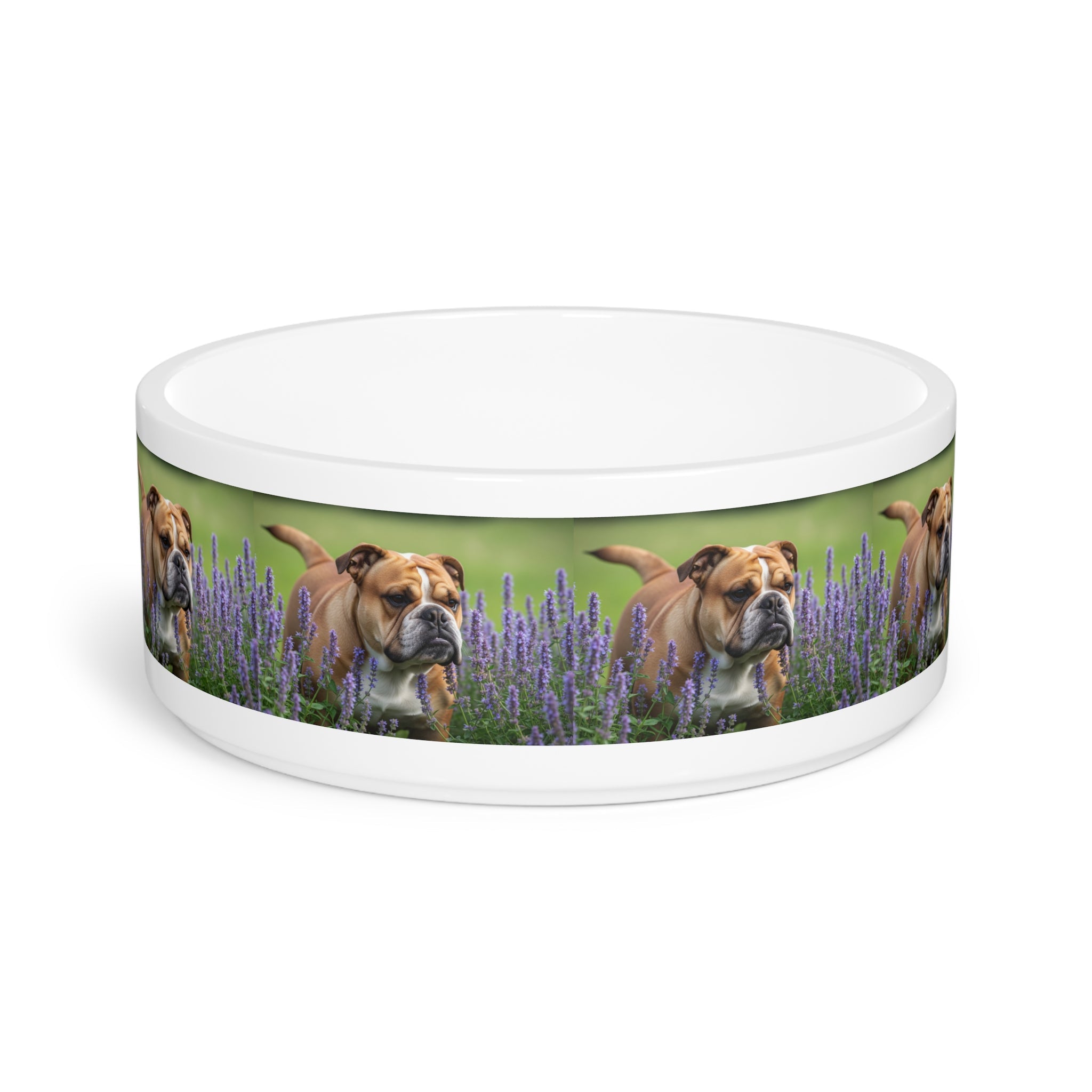 Ceramic Pet Bowl – 16 oz Dog Feeding Bowl