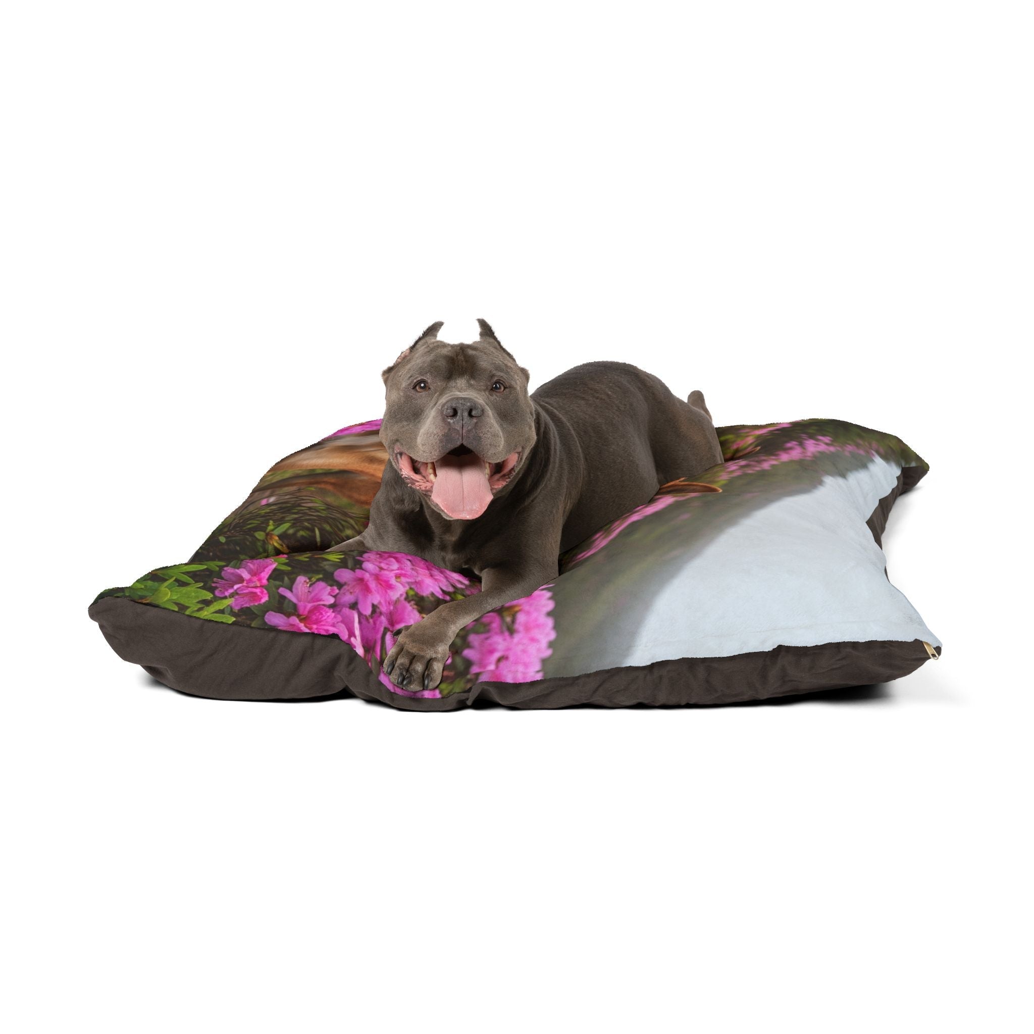 Pet Bed – Plush Dog Bed, 3 Size Options