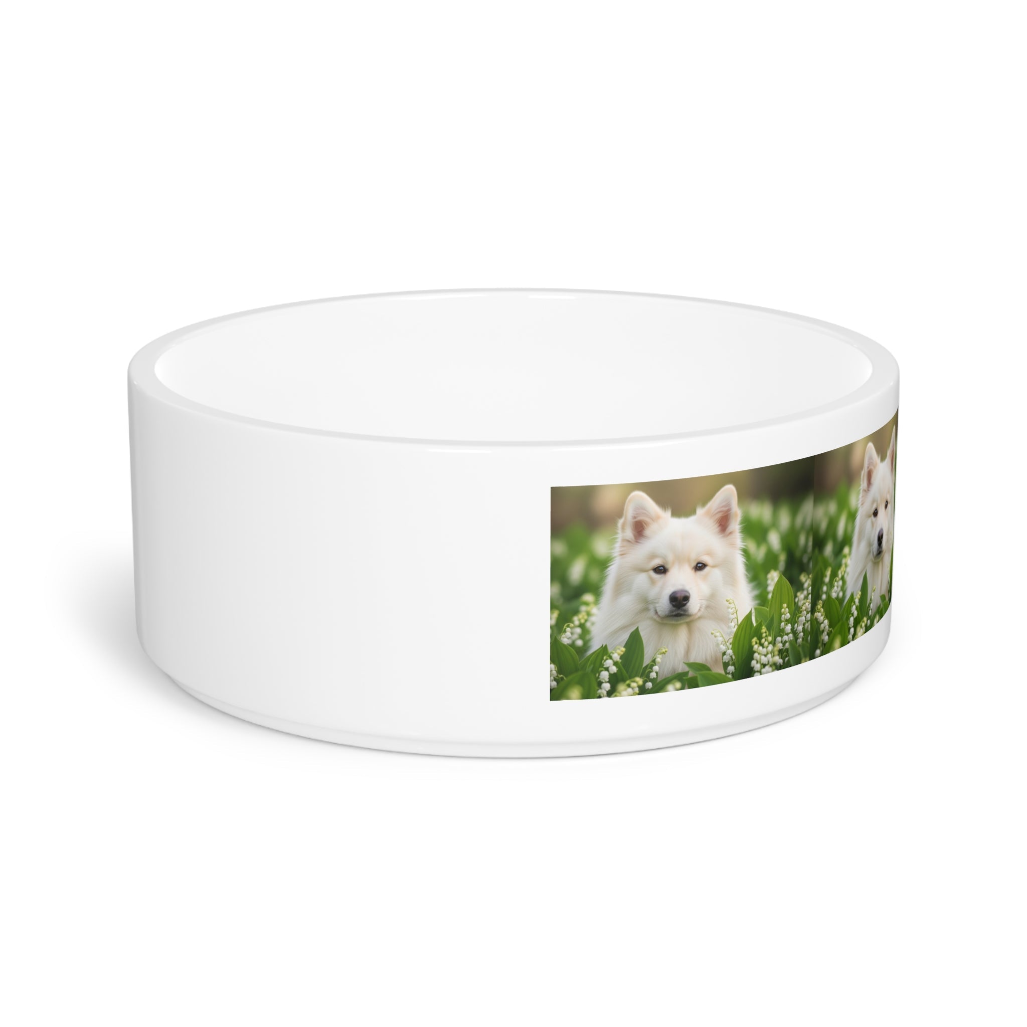 Ceramic Pet Bowl – 16 oz Dog Feeding Bowl
