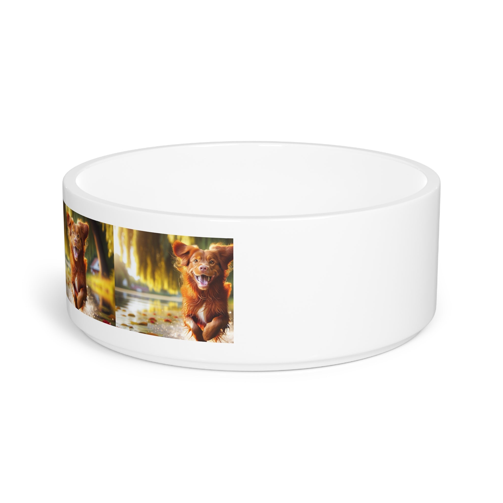 Ceramic Pet Bowl – 16 oz Dog Feeding Bowl