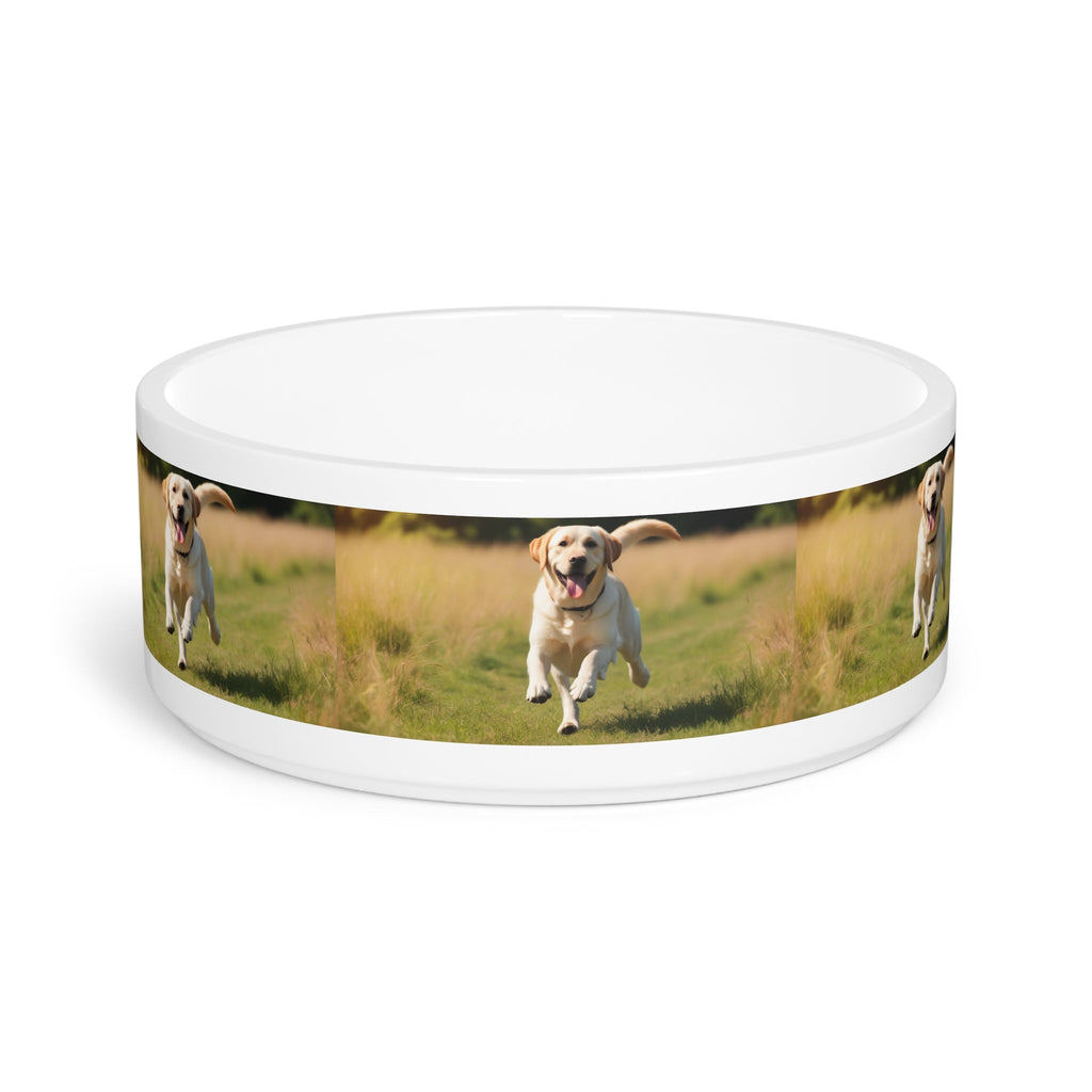 Ceramic Pet Bowl – 16 oz Dog Feeding Bowl