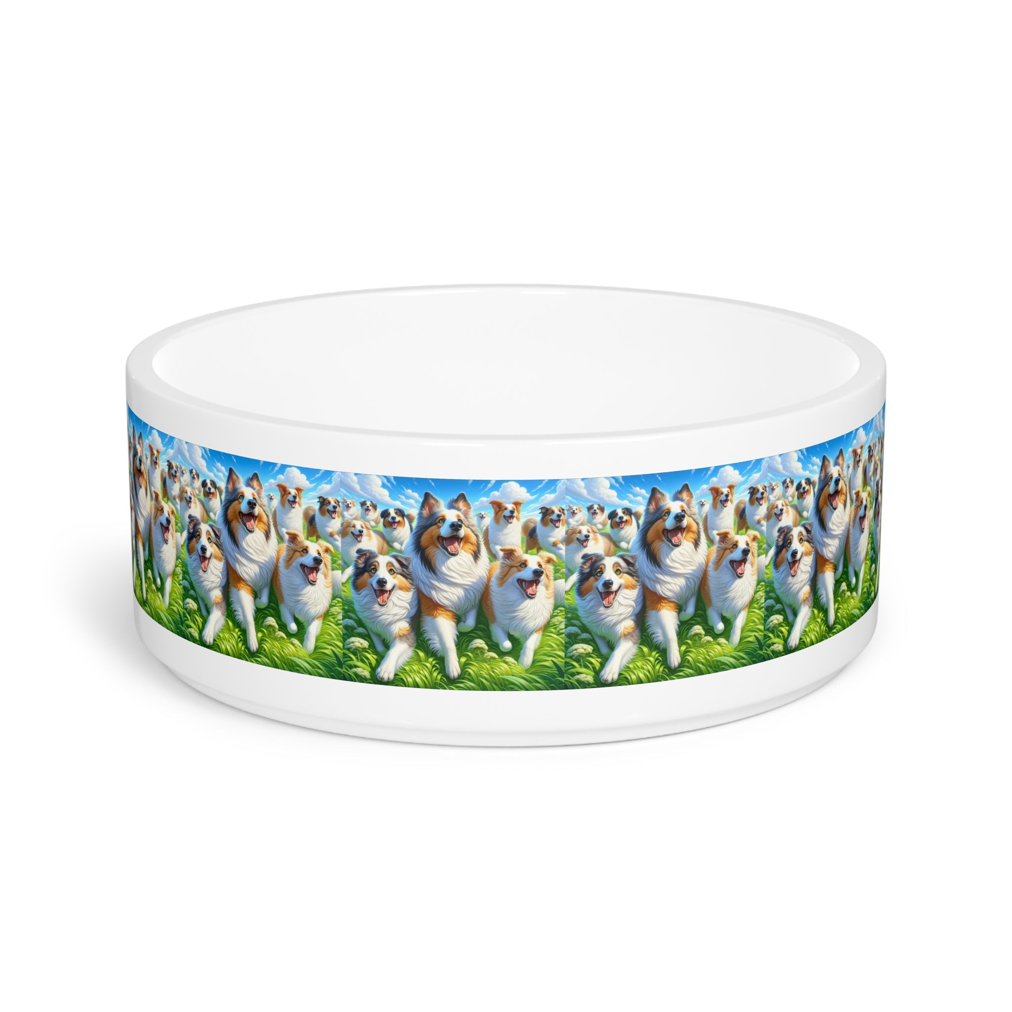 Ceramic Pet Bowl – 16 oz Dog Feeding Bowl