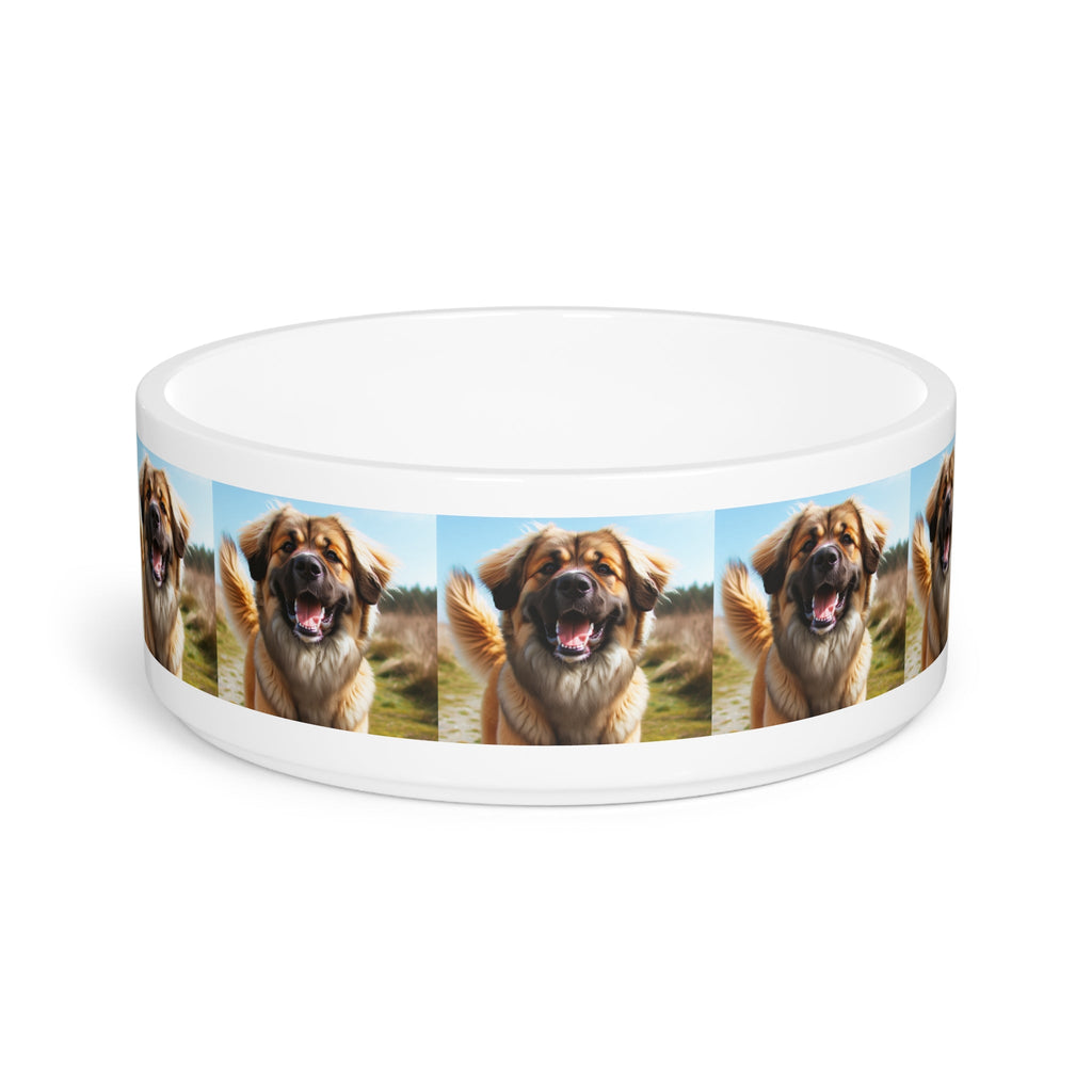 Ceramic Pet Bowl – 16 oz Dog Feeding Bowl