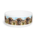 Ceramic Pet Bowl – 16 oz Dog Feeding Bowl