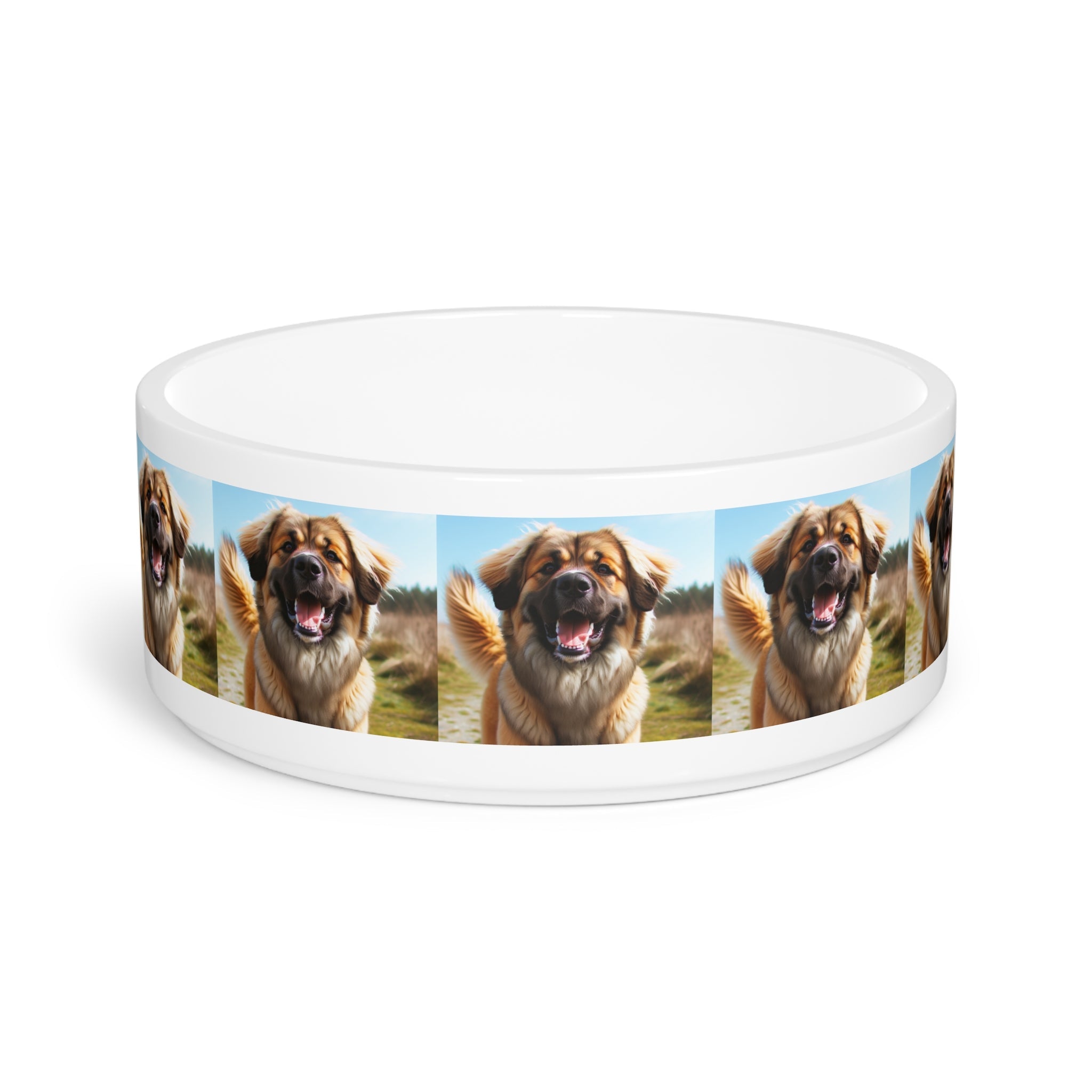 Ceramic Pet Bowl – 16 oz Dog Feeding Bowl
