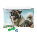 Pet Bed – Plush Dog Bed, 3 Size Options