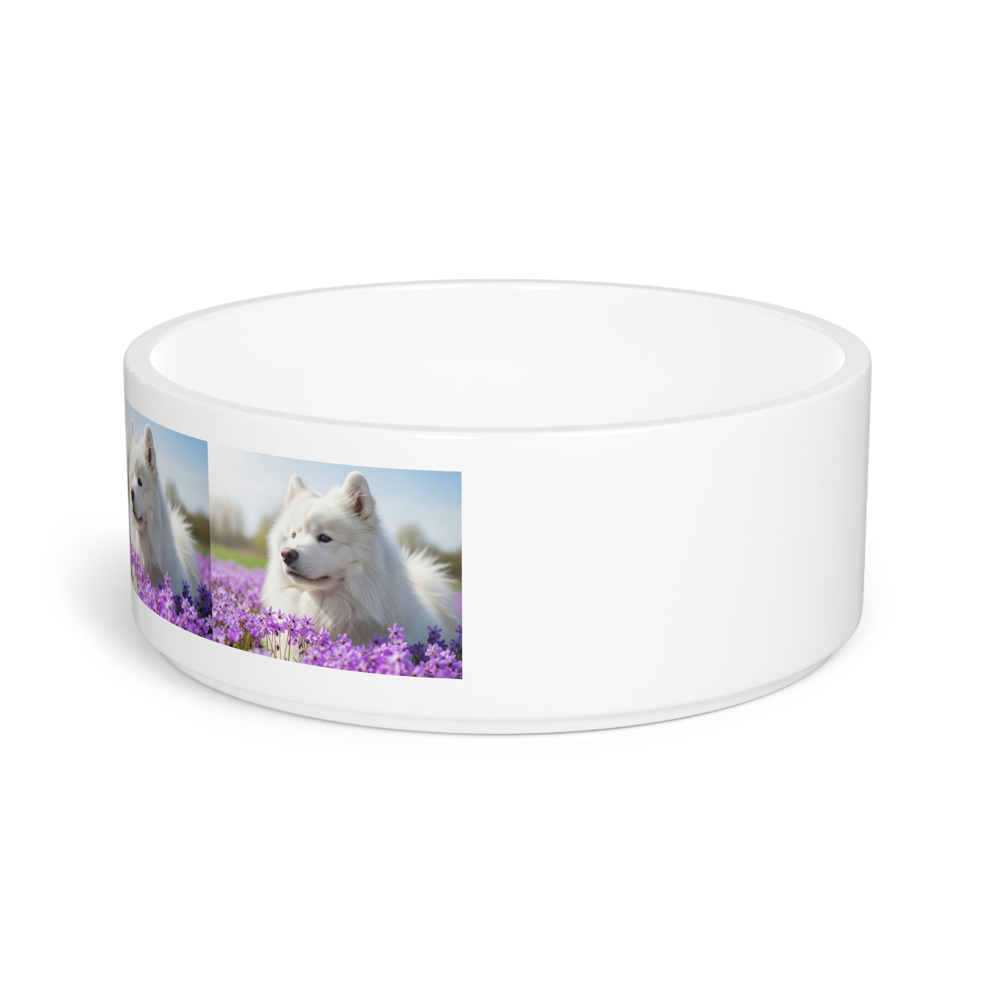 Ceramic Pet Bowl – 16 oz Dog Feeding Bowl