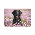 Non-Slip Pet Food Mat – Waterproof Feeding Mat for Dogs