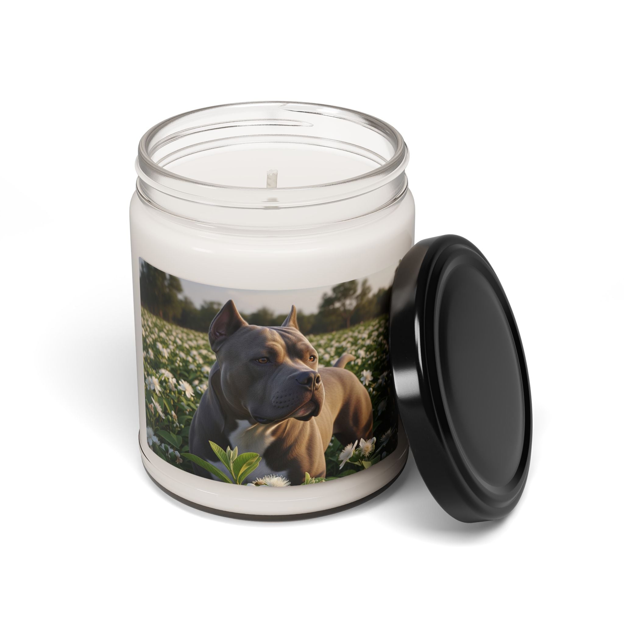 Soy Candle – Scented Jar Candle