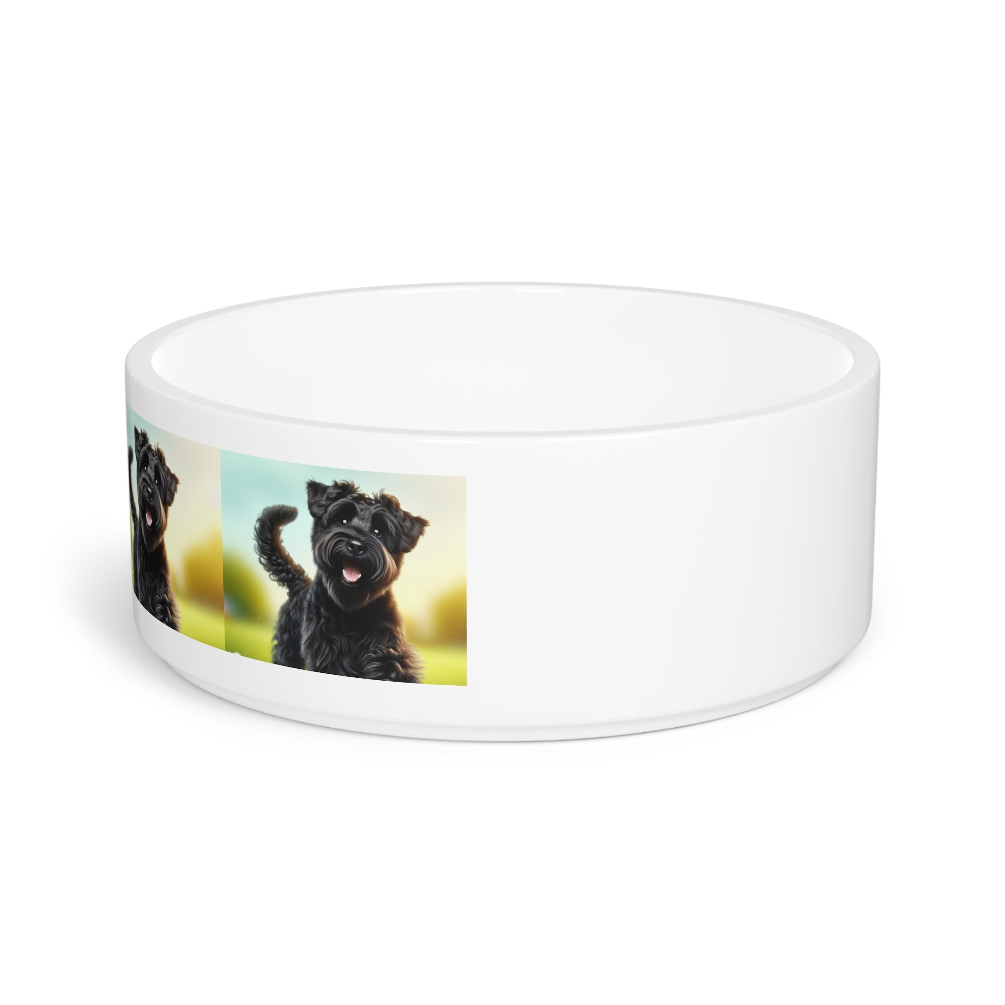 Ceramic Pet Bowl – 16 oz Dog Feeding Bowl