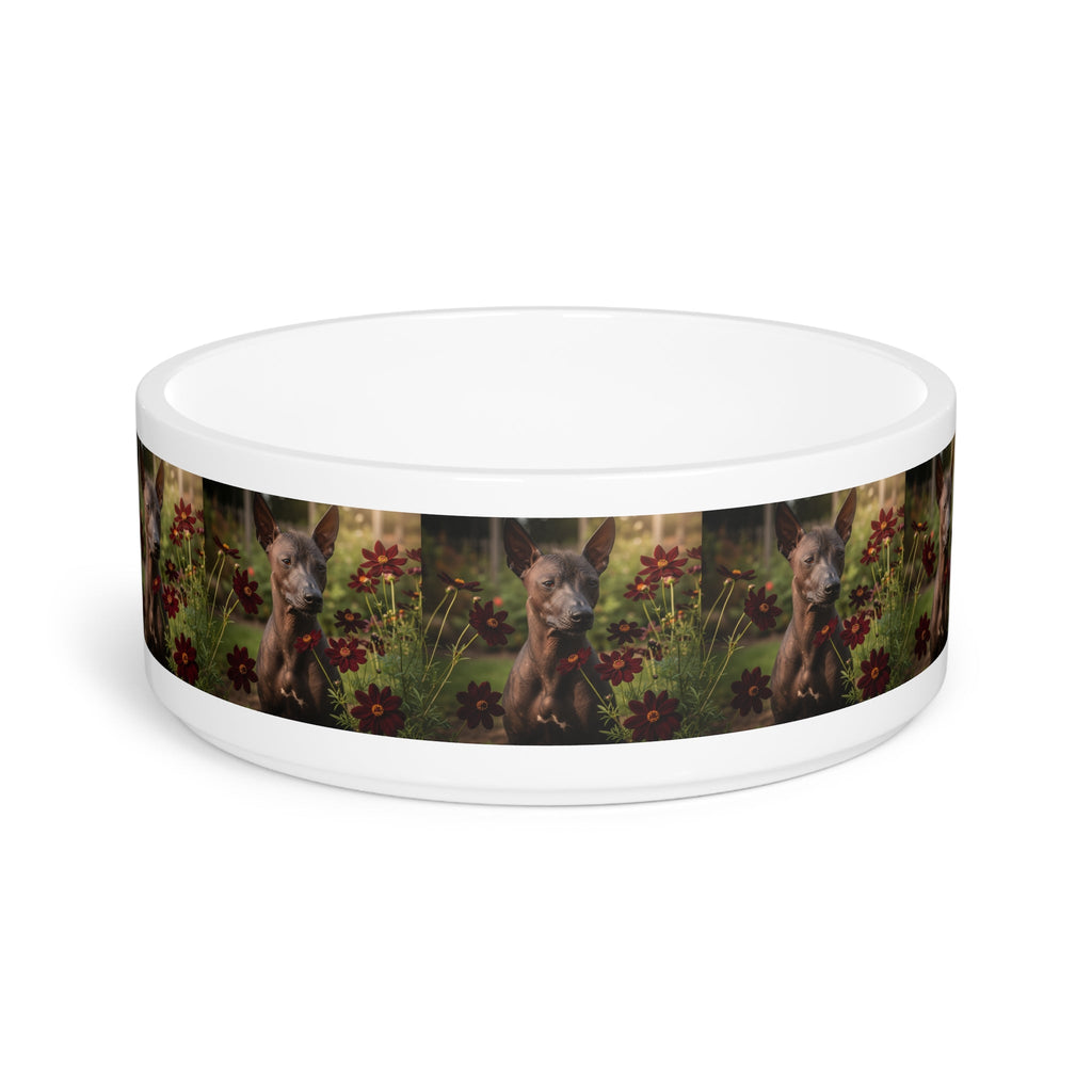 Ceramic Pet Bowl – 16 oz Dog Feeding Bowl