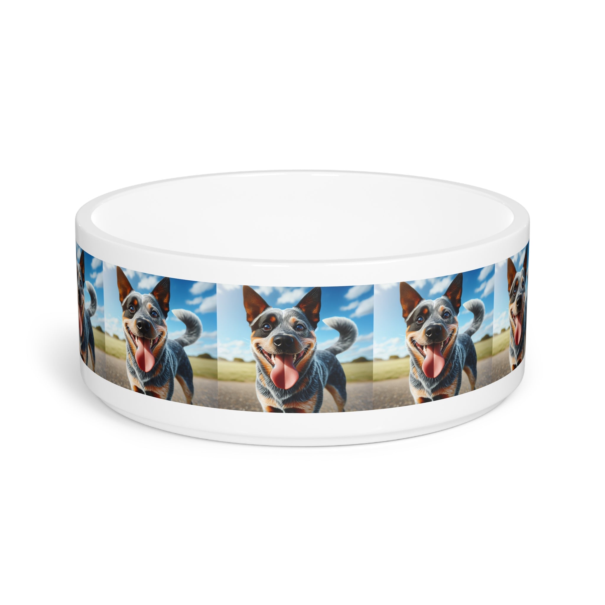 Ceramic Pet Bowl – 16 oz Dog Feeding Bowl