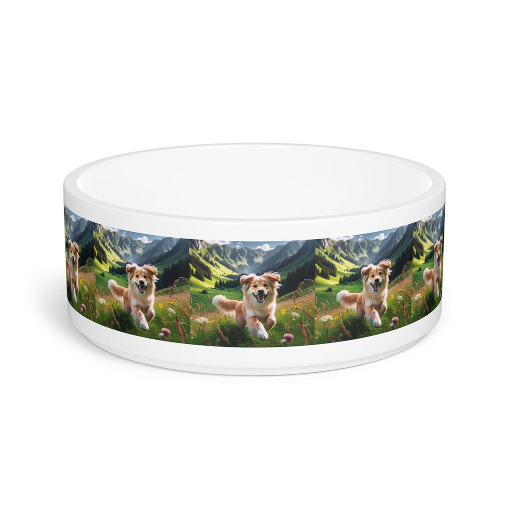 Ceramic Pet Bowl – 16 oz Dog Feeding Bowl