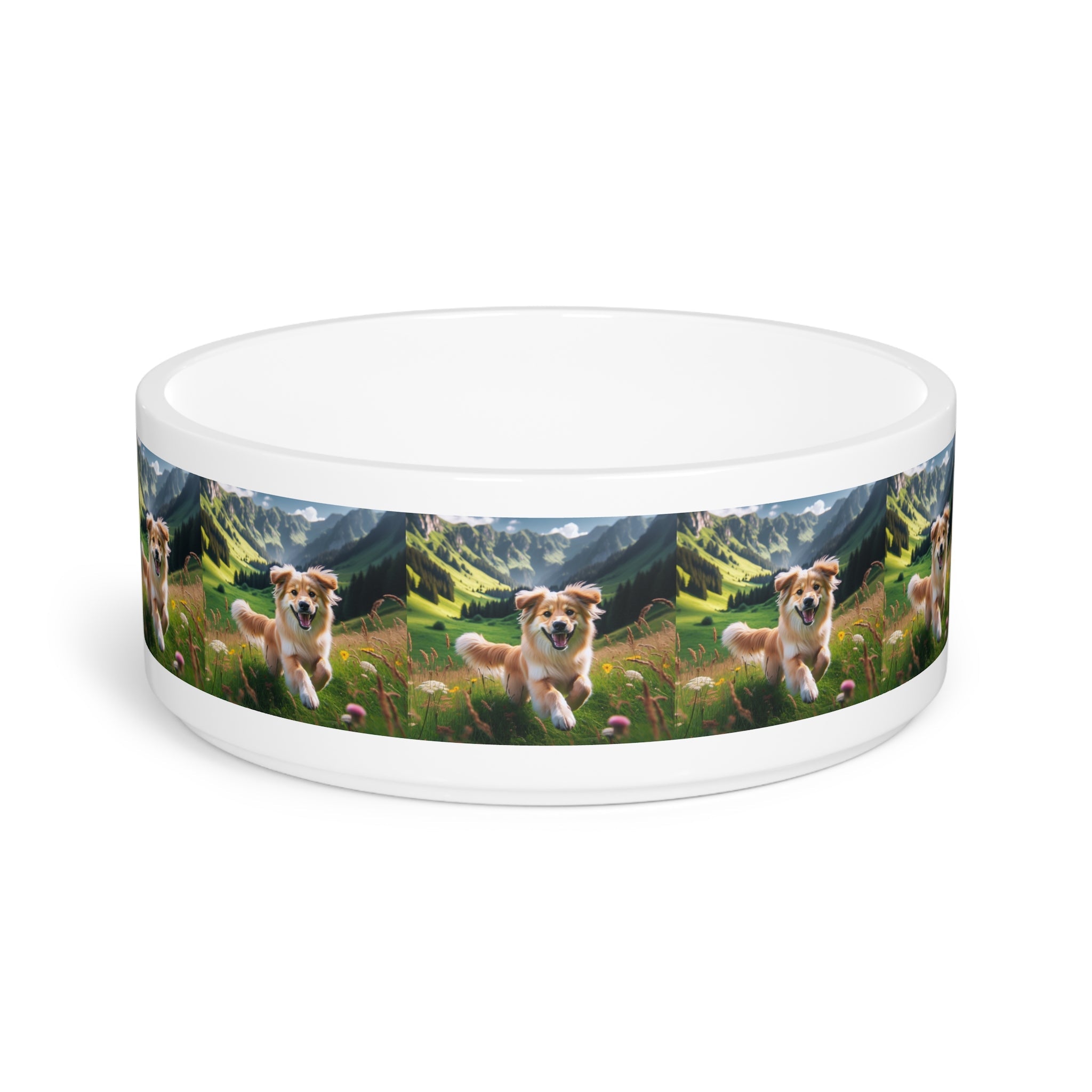 Ceramic Pet Bowl – 16 oz Dog Feeding Bowl