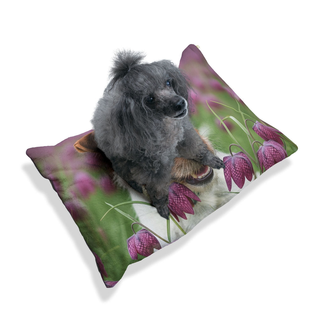 Pet Bed – Plush Dog Bed, 3 Size Options