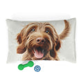Pet Bed – Plush Dog Bed, 3 Size Options