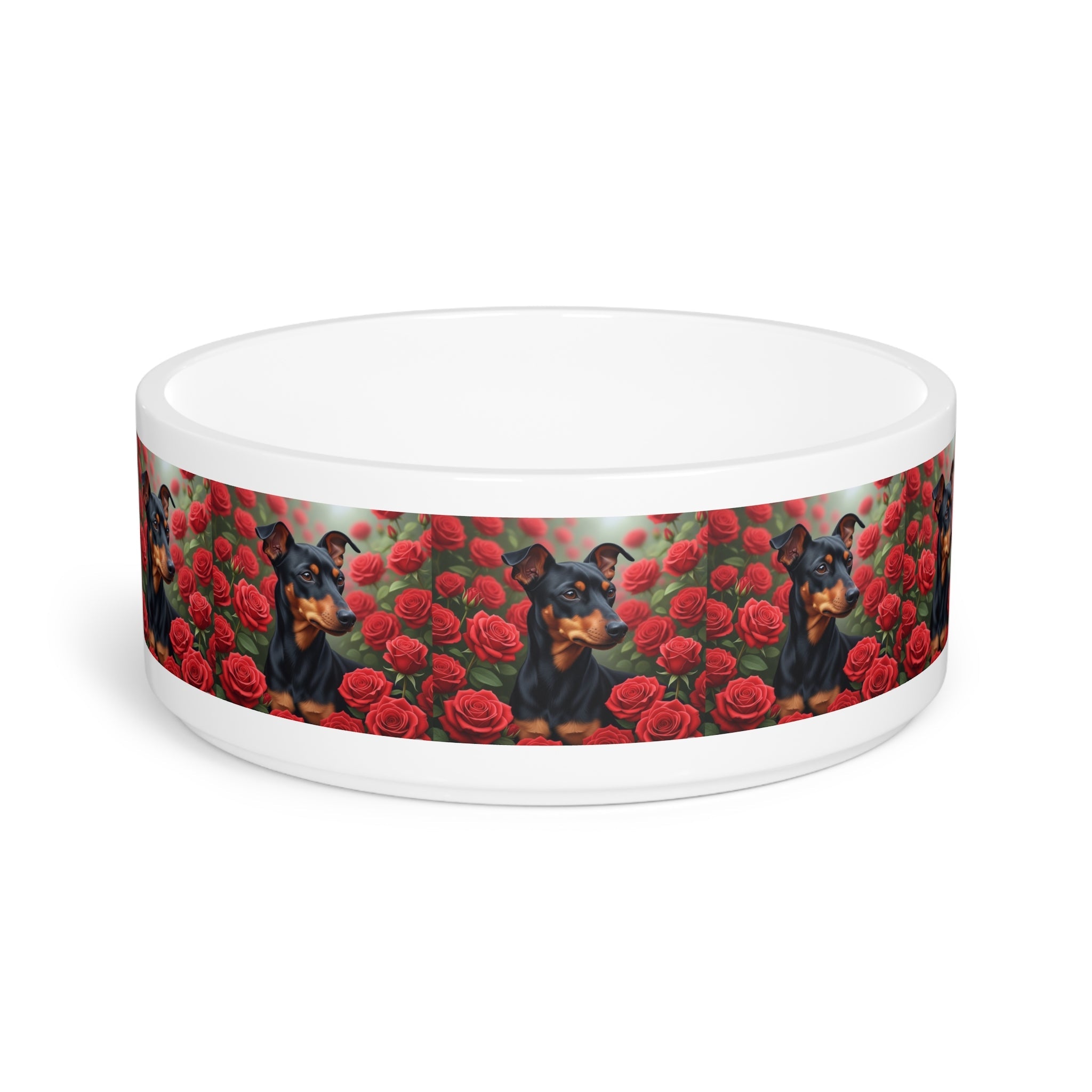 Ceramic Pet Bowl – 16 oz Dog Feeding Bowl