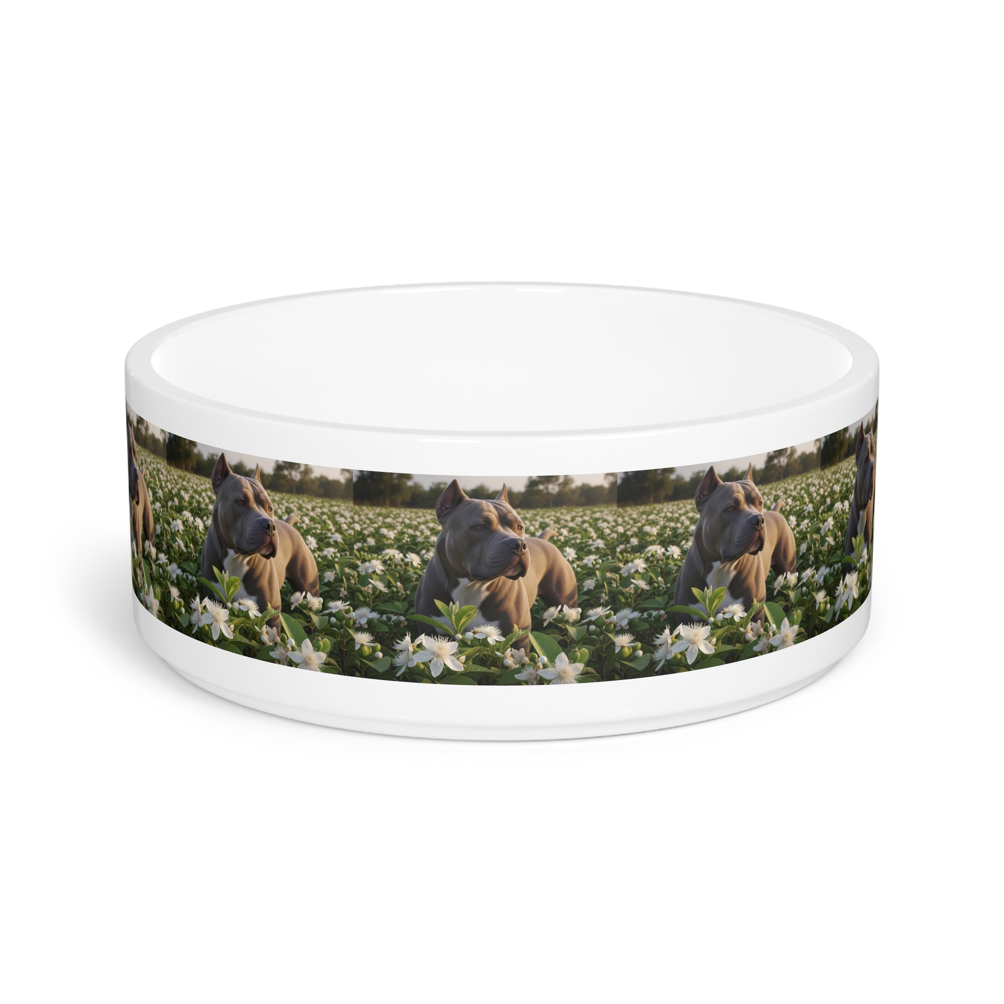 Ceramic Pet Bowl – 16 oz Dog Feeding Bowl