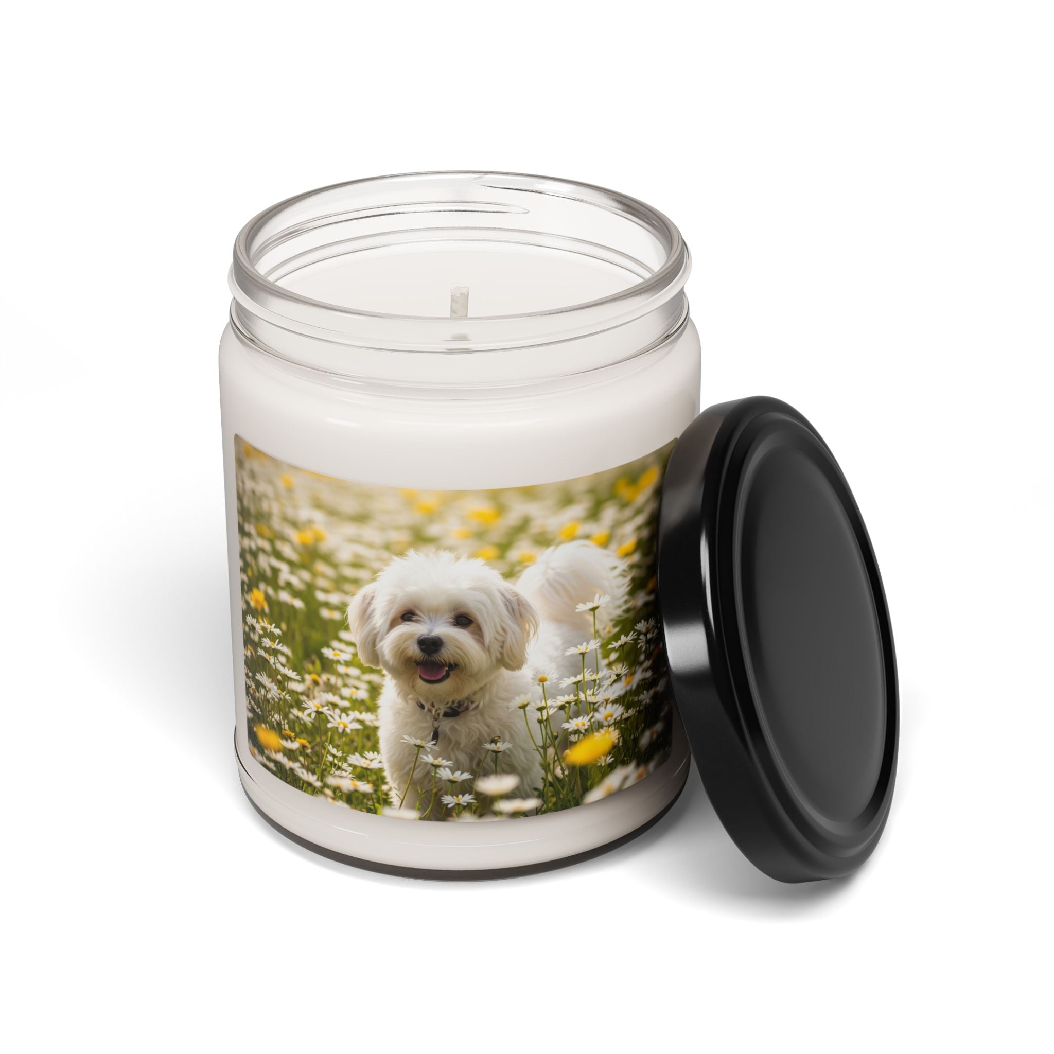 Soy Candle – Scented Jar Candle