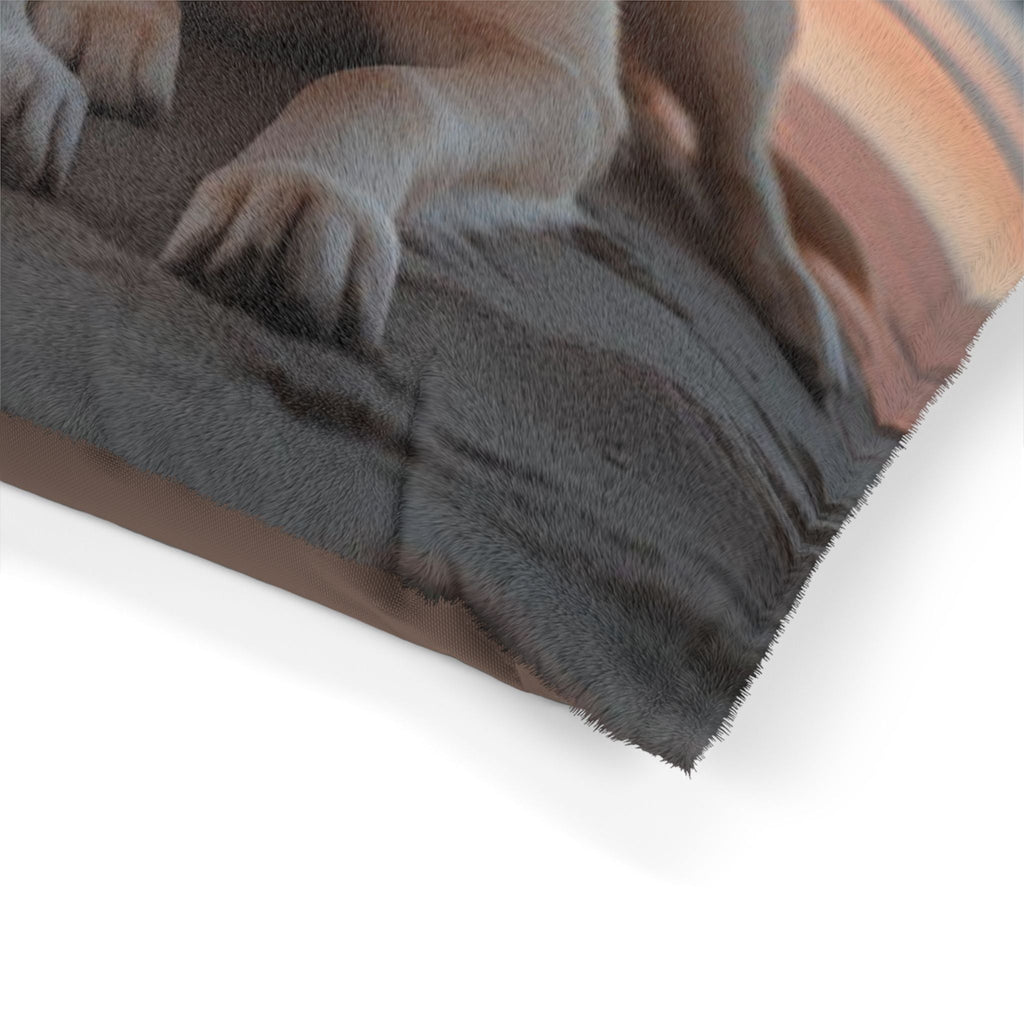 Pet Bed – Plush Dog Bed, 3 Size Options