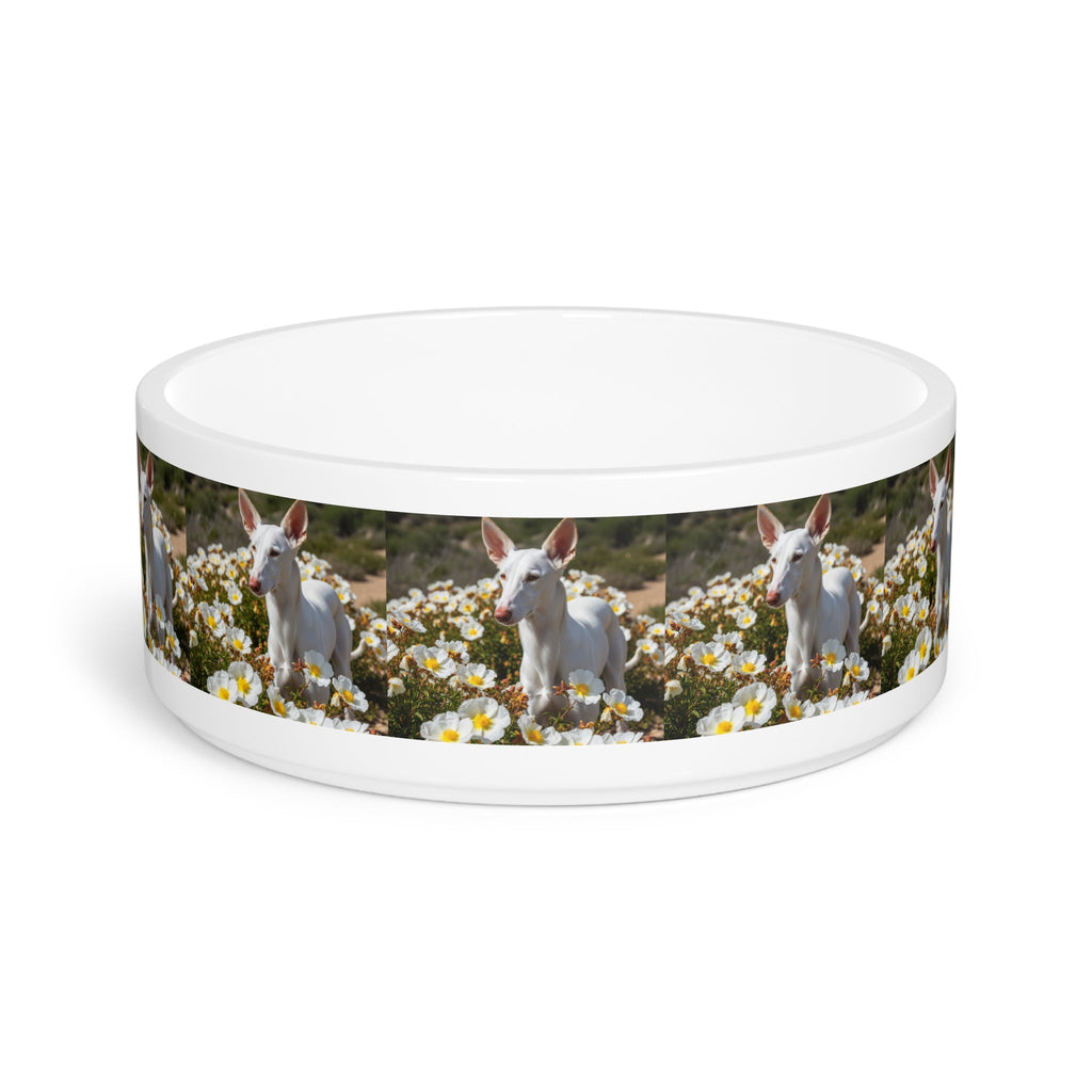 Ceramic Pet Bowl – 16 oz Dog Feeding Bowl