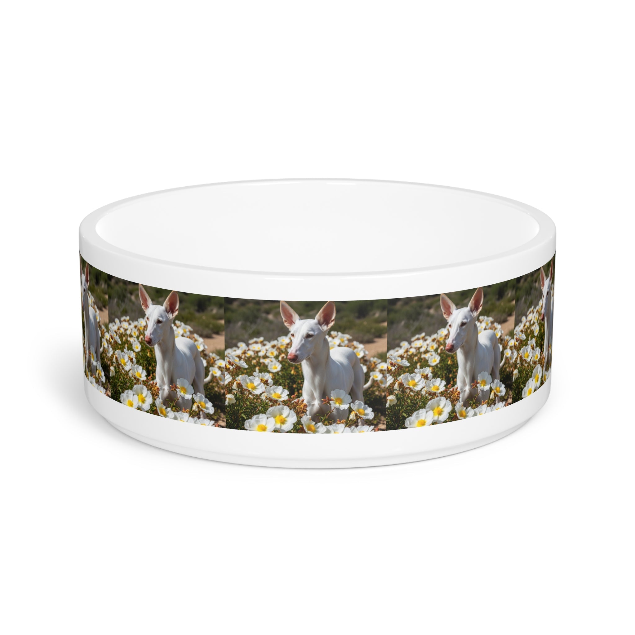 Ceramic Pet Bowl – 16 oz Dog Feeding Bowl