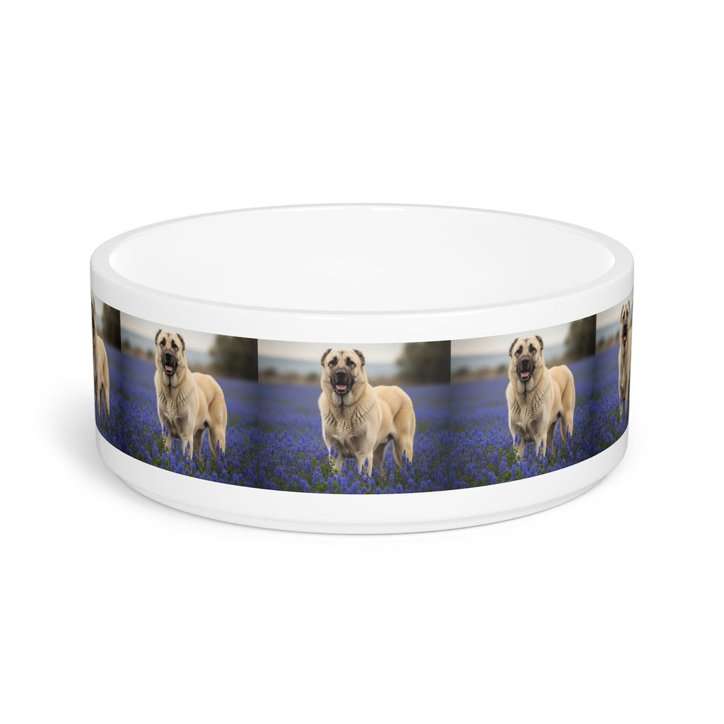 Ceramic Pet Bowl – 16 oz Dog Feeding Bowl