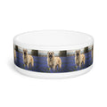 Ceramic Pet Bowl – 16 oz Dog Feeding Bowl