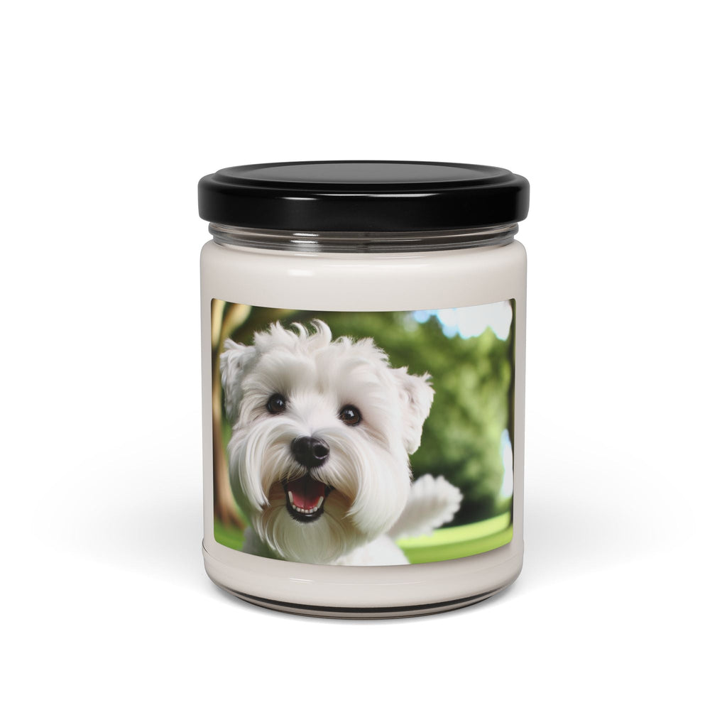 Soy Candle – Scented Jar Candle