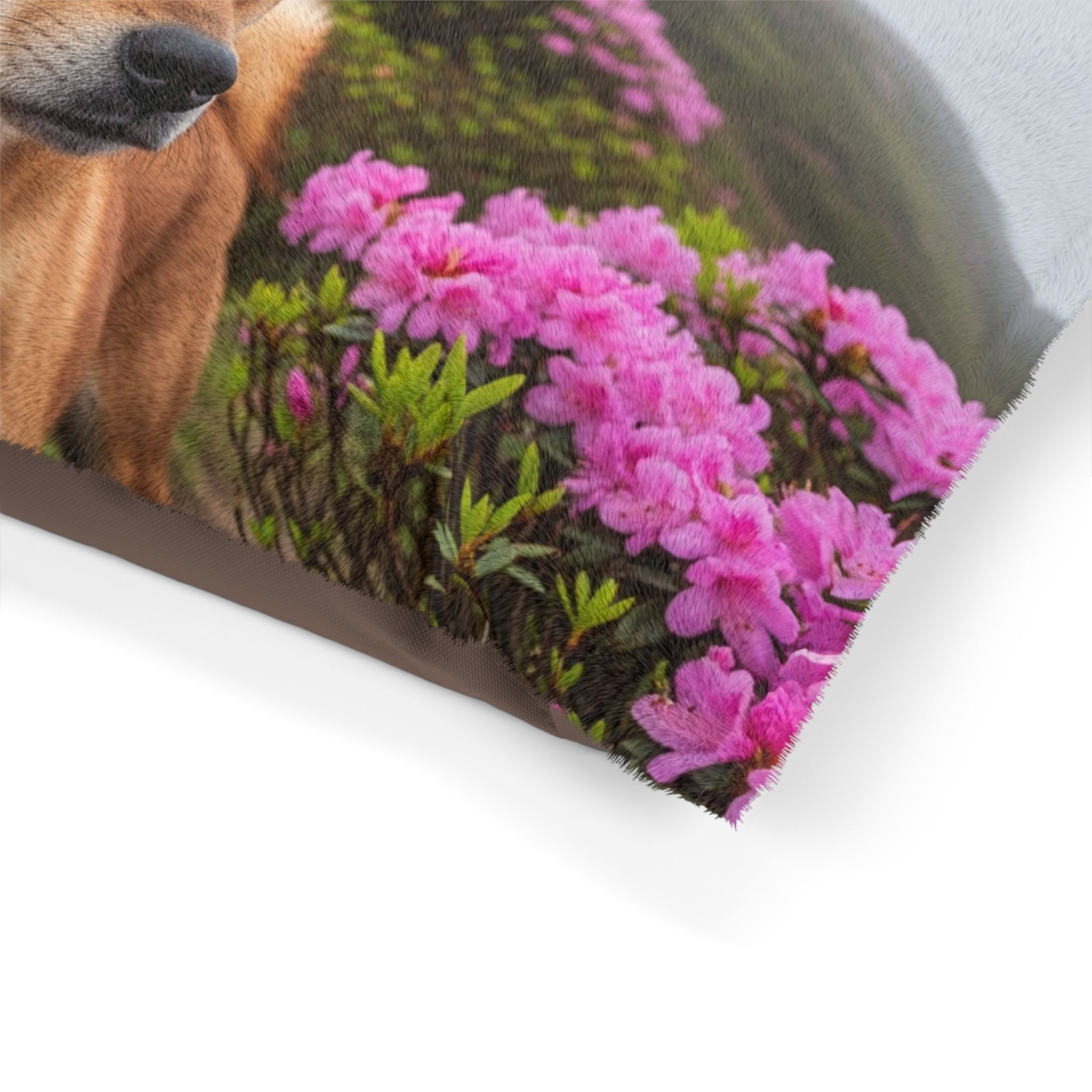 Pet Bed – Plush Dog Bed, 3 Size Options