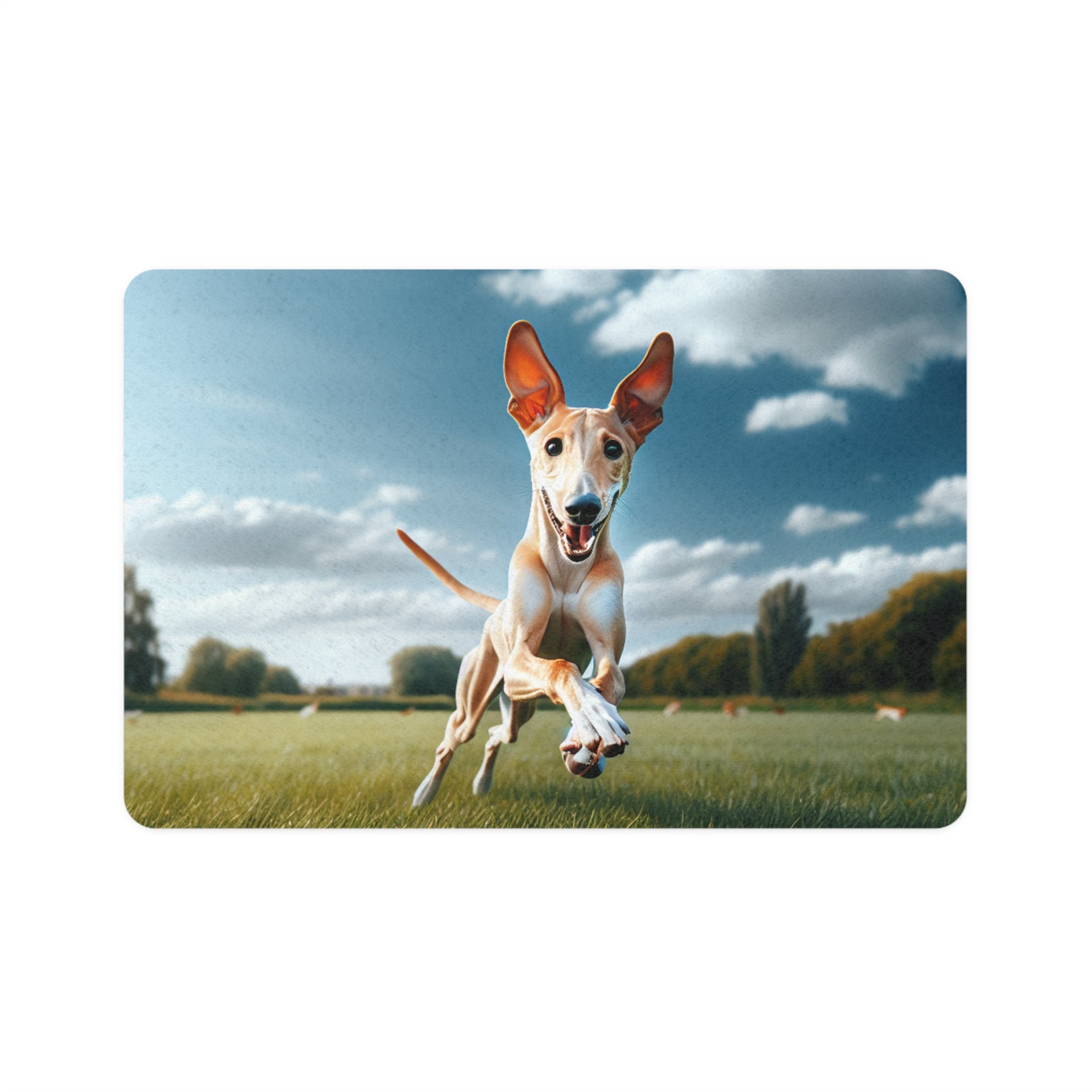 Non-Slip Pet Food Mat – Waterproof Feeding Mat for Dogs