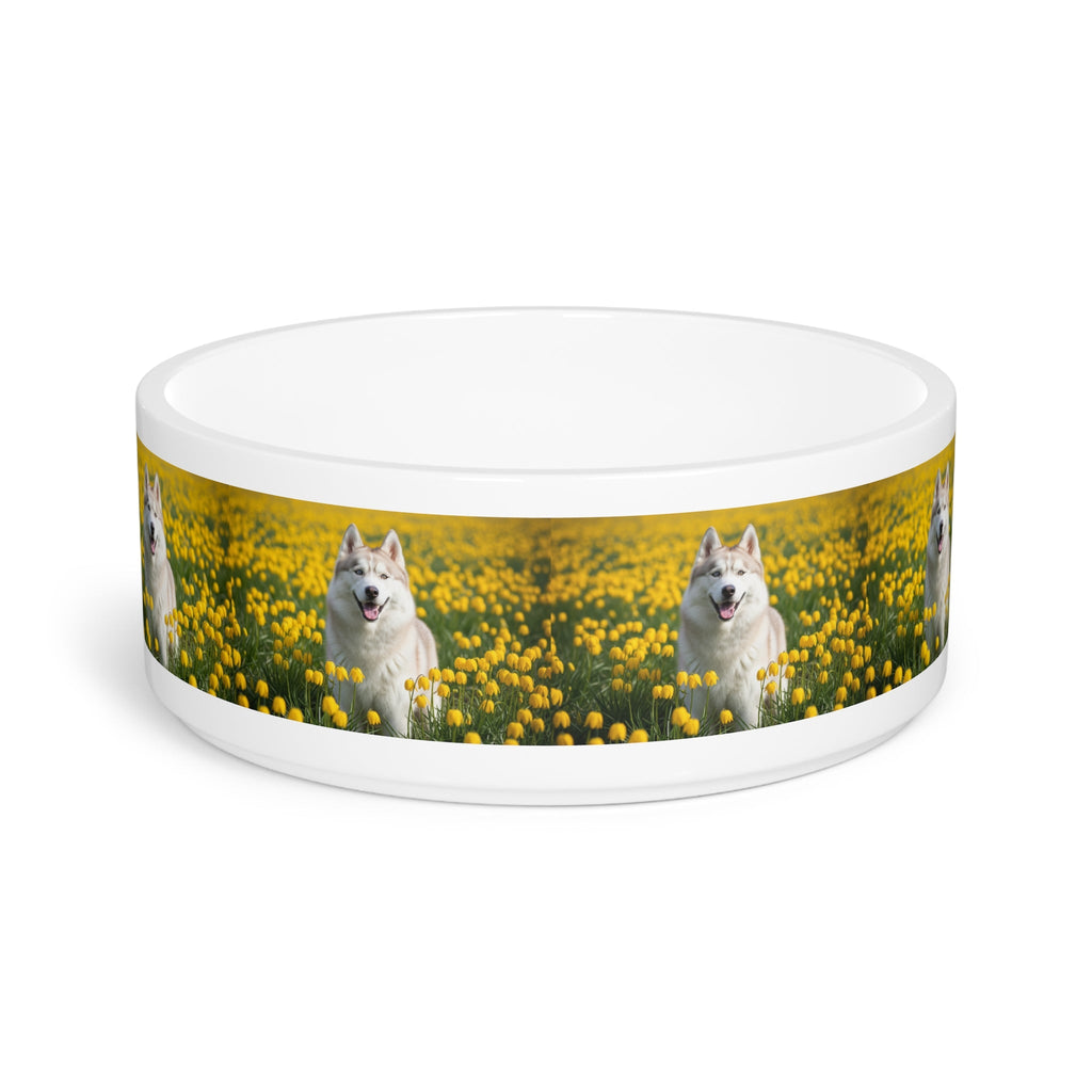 Ceramic Pet Bowl – 16 oz Dog Feeding Bowl