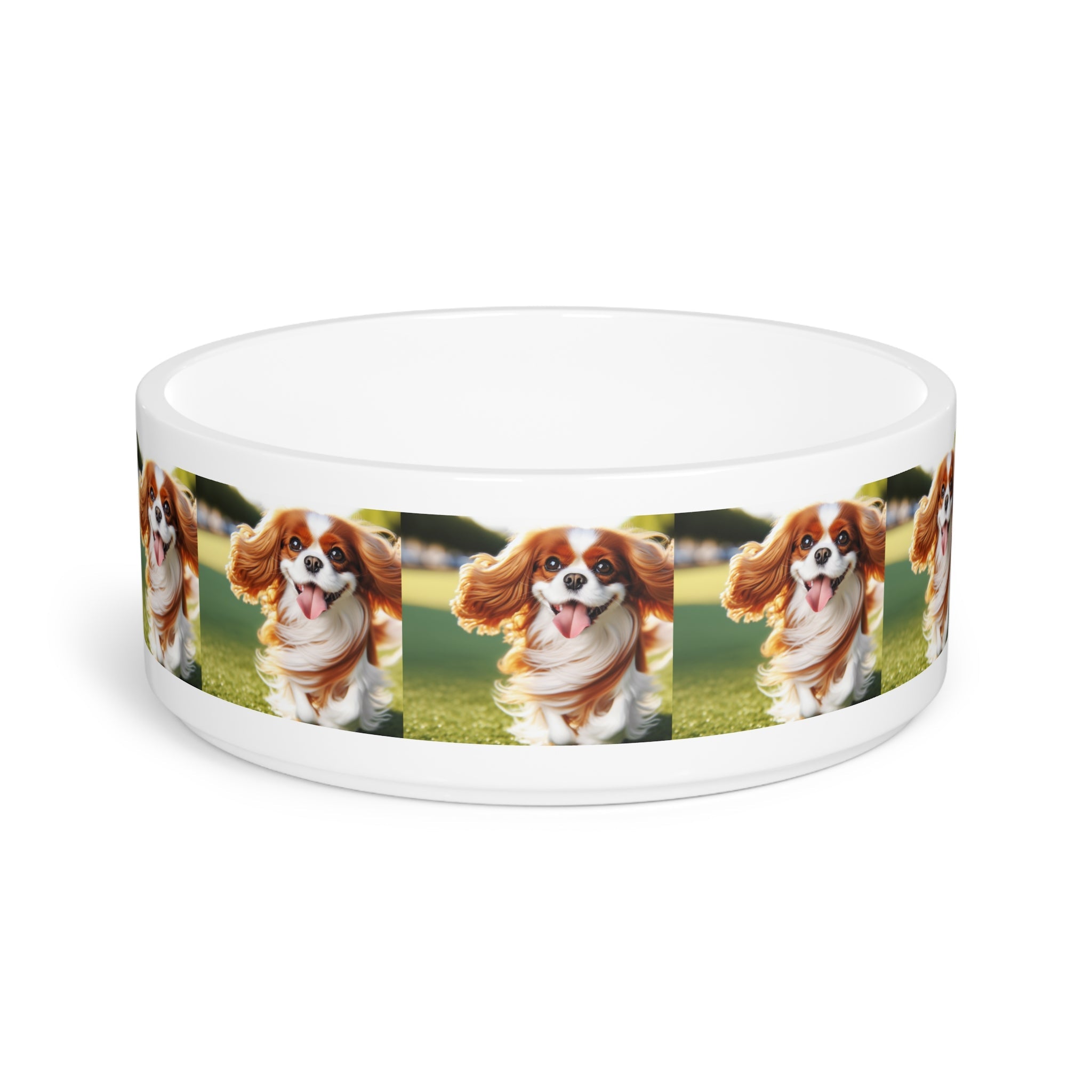 Ceramic Pet Bowl – 16 oz Dog Feeding Bowl