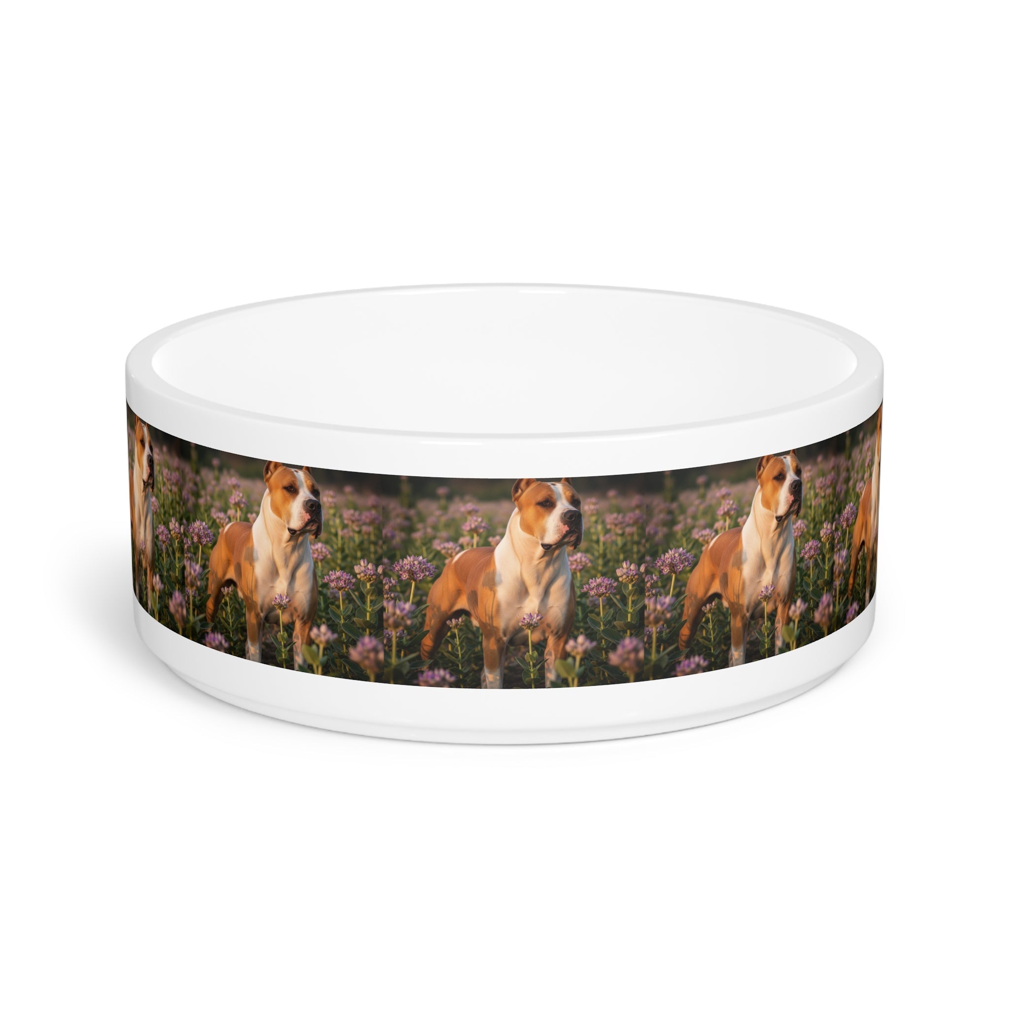 Ceramic Pet Bowl – 16 oz Dog Feeding Bowl