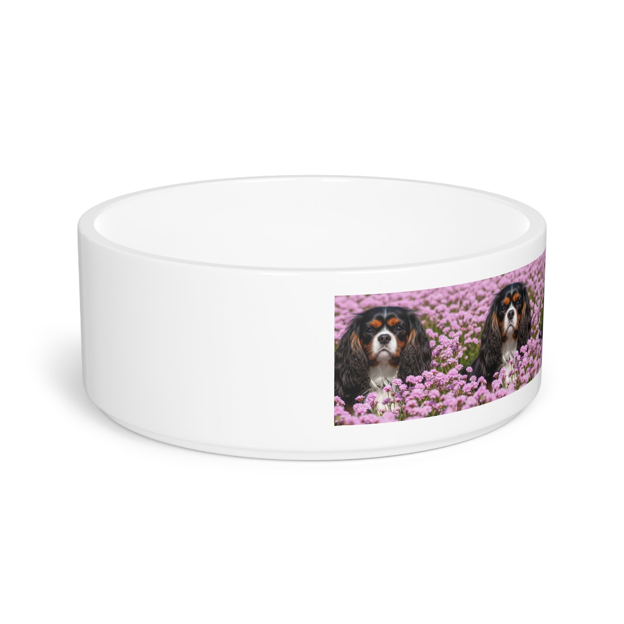 Ceramic Pet Bowl – 16 oz Dog Feeding Bowl