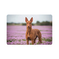 Non-Slip Pet Food Mat – Waterproof Feeding Mat for Dogs