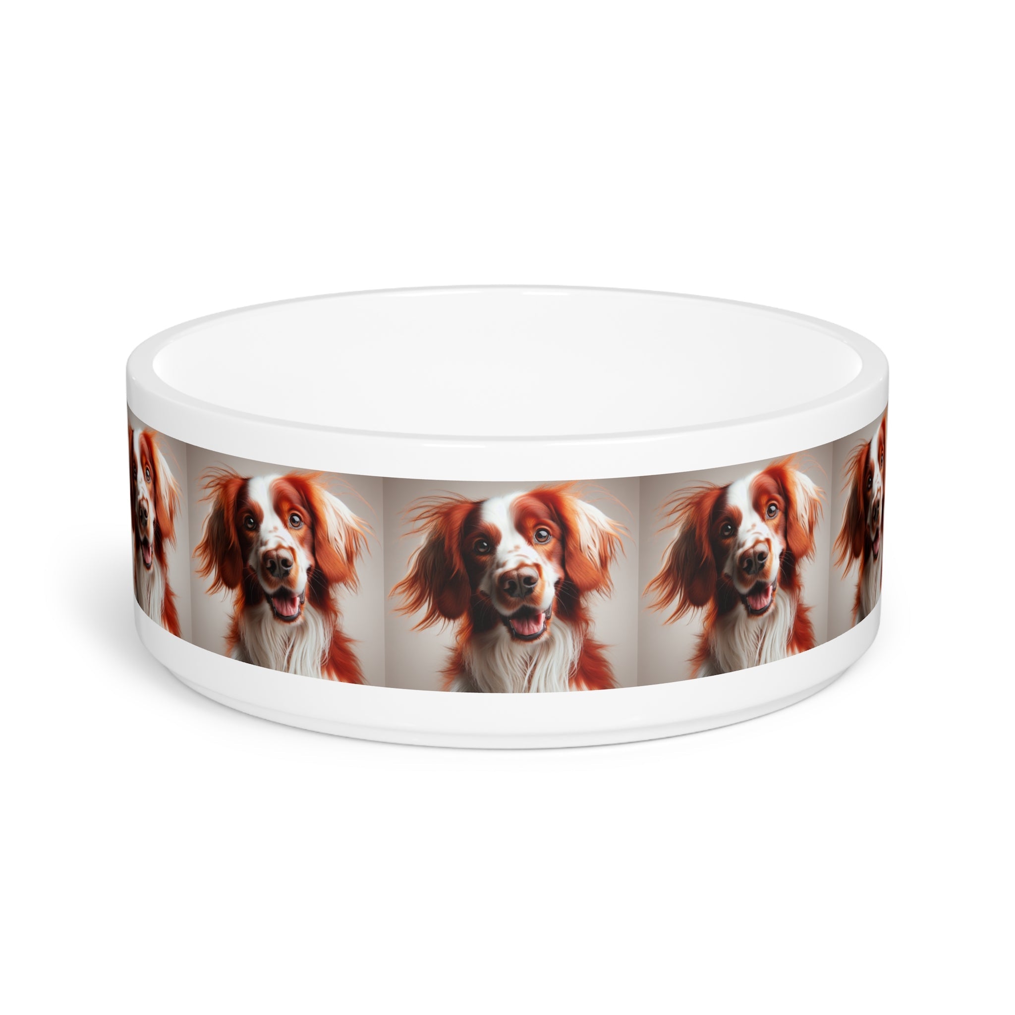 Ceramic Pet Bowl – 16 oz Dog Feeding Bowl