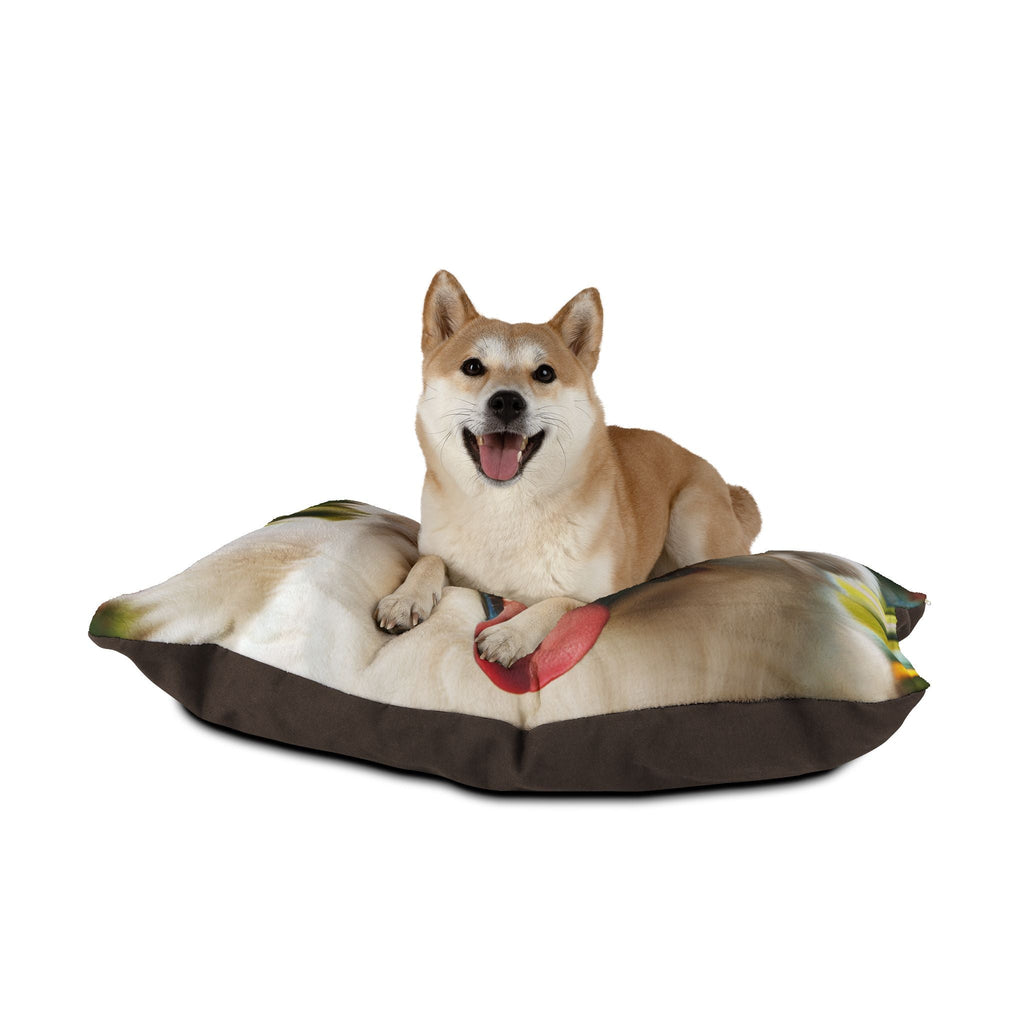Pet Bed – Plush Dog Bed, 3 Size Options