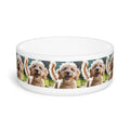 Ceramic Pet Bowl – 16 oz Dog Feeding Bowl
