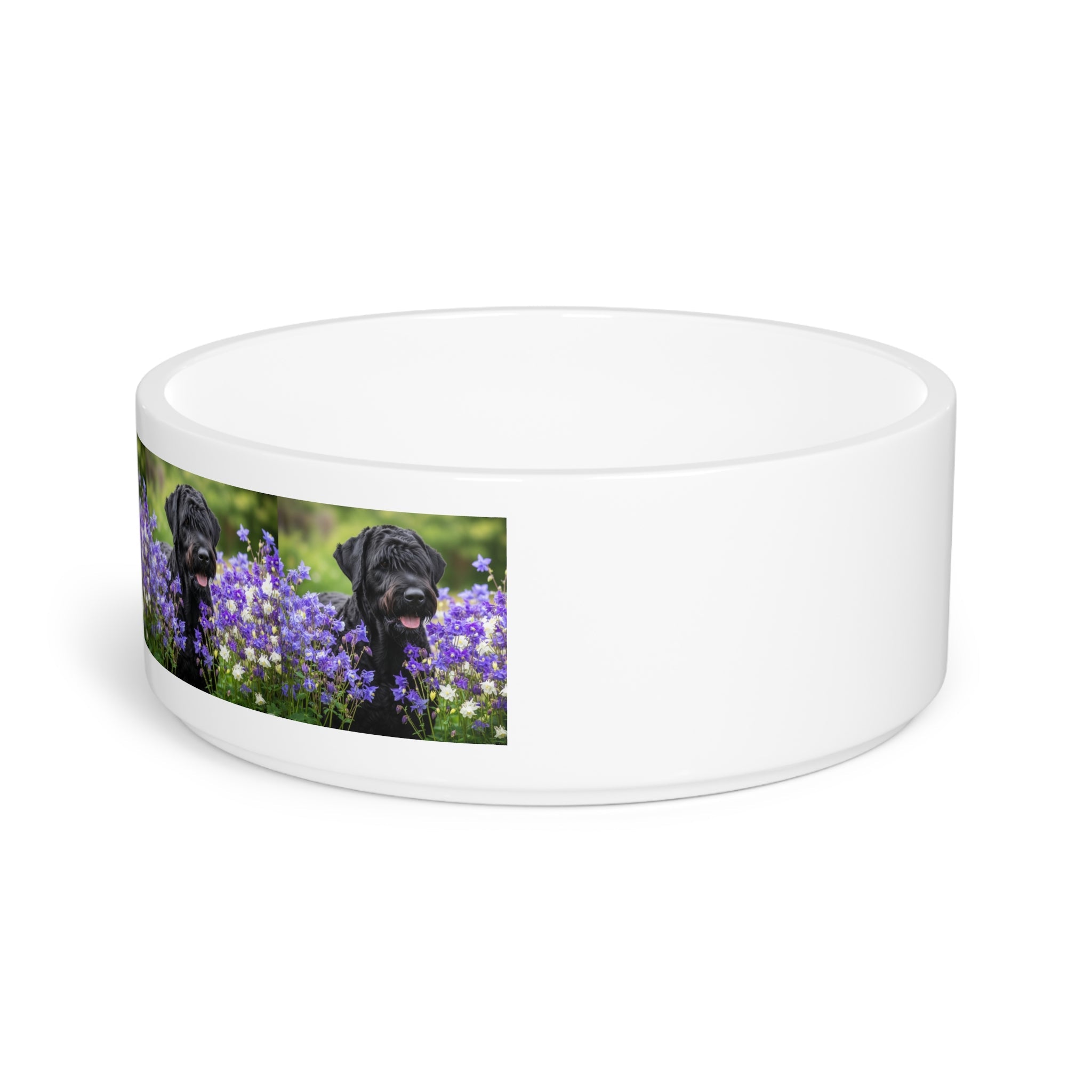 Ceramic Pet Bowl – 16 oz Dog Feeding Bowl