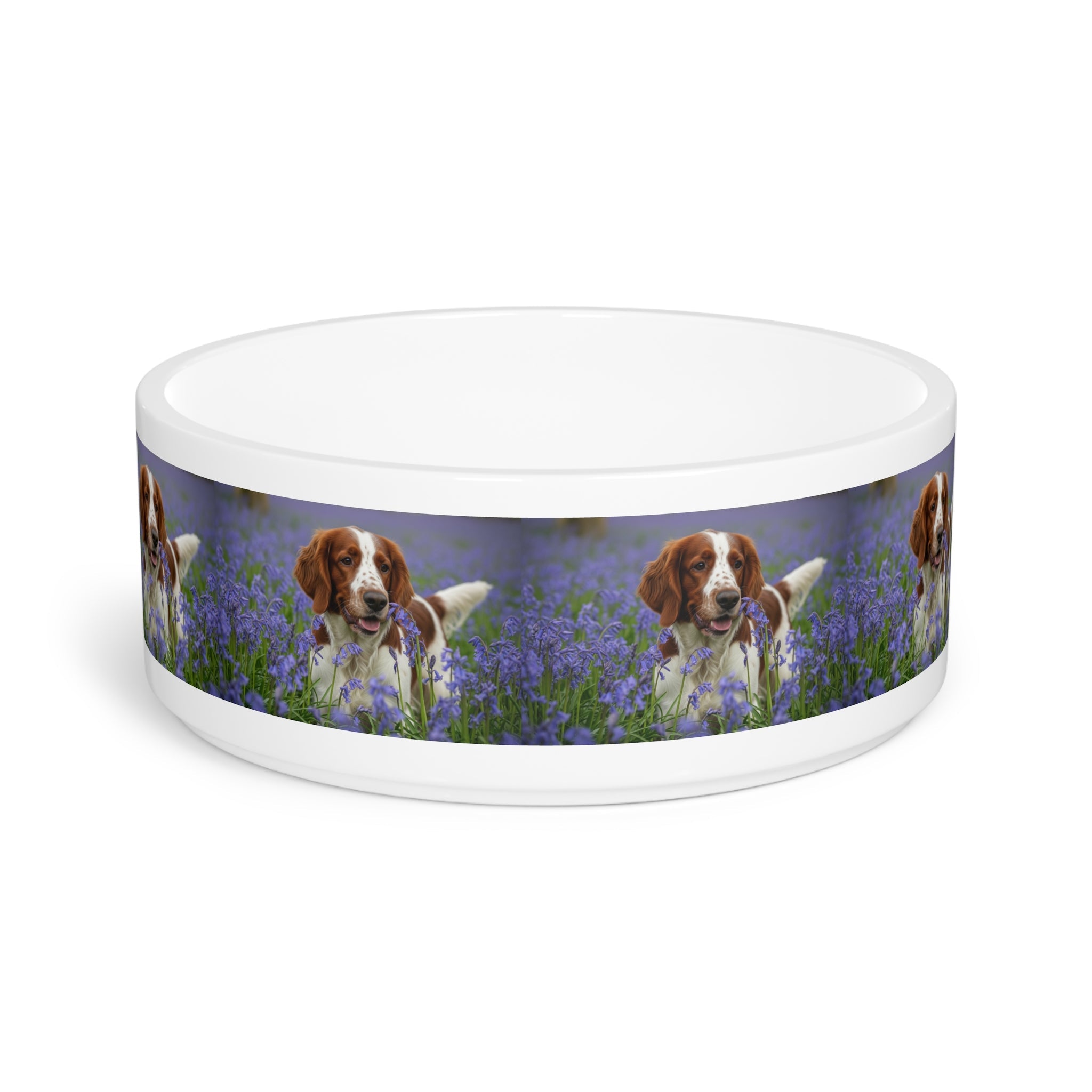 Ceramic Pet Bowl – 16 oz Dog Feeding Bowl