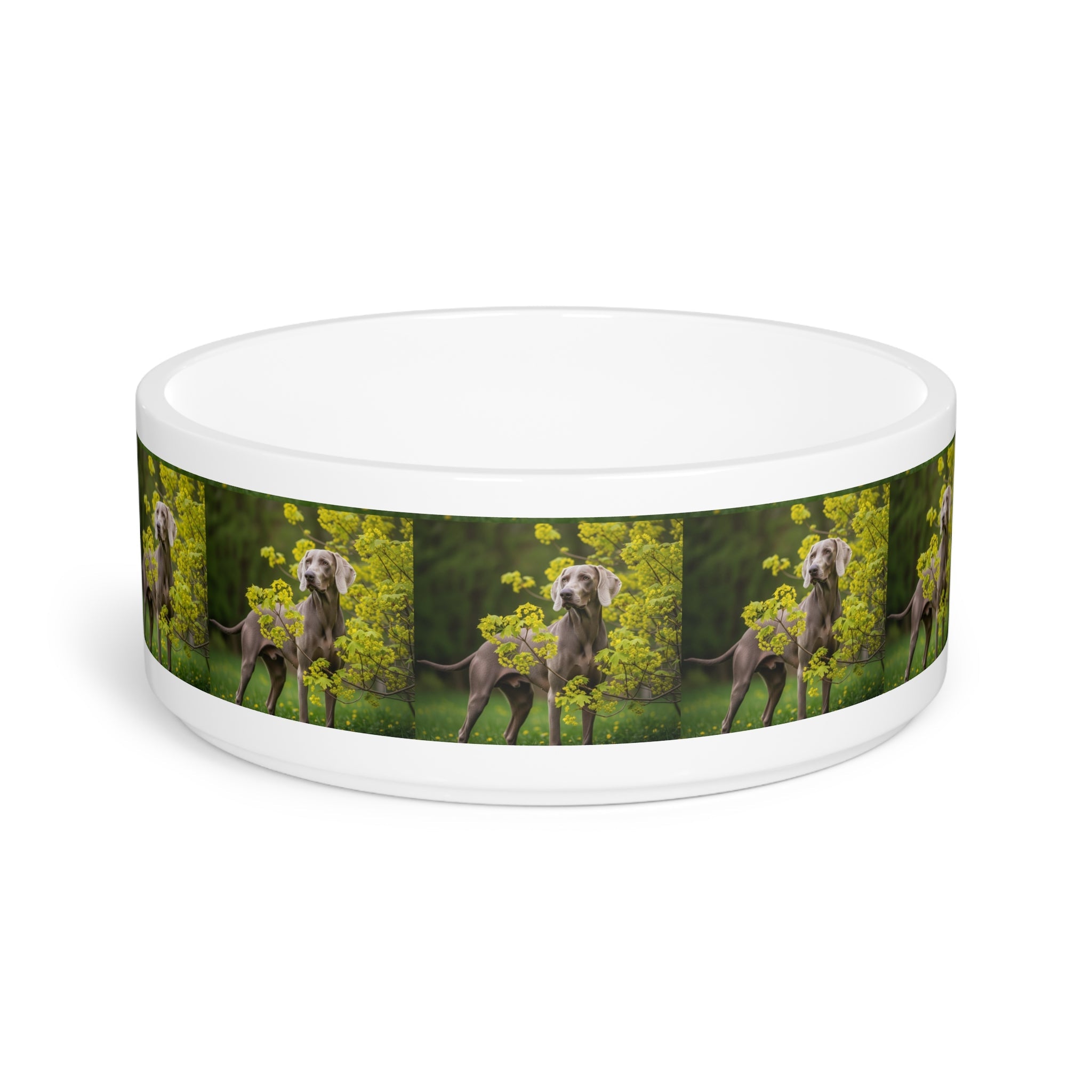 Ceramic Pet Bowl – 16 oz Dog Feeding Bowl