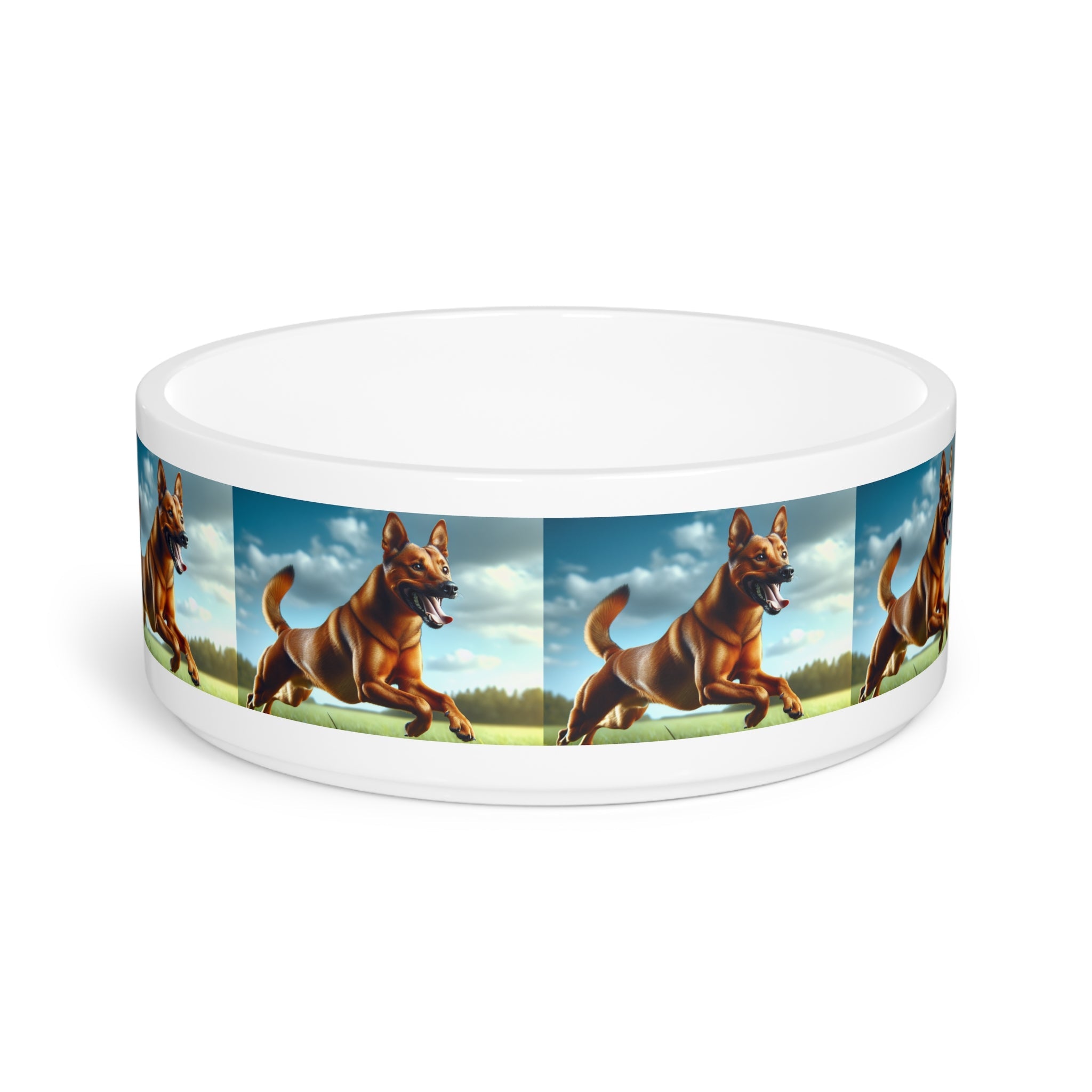 Ceramic Pet Bowl – 16 oz Dog Feeding Bowl