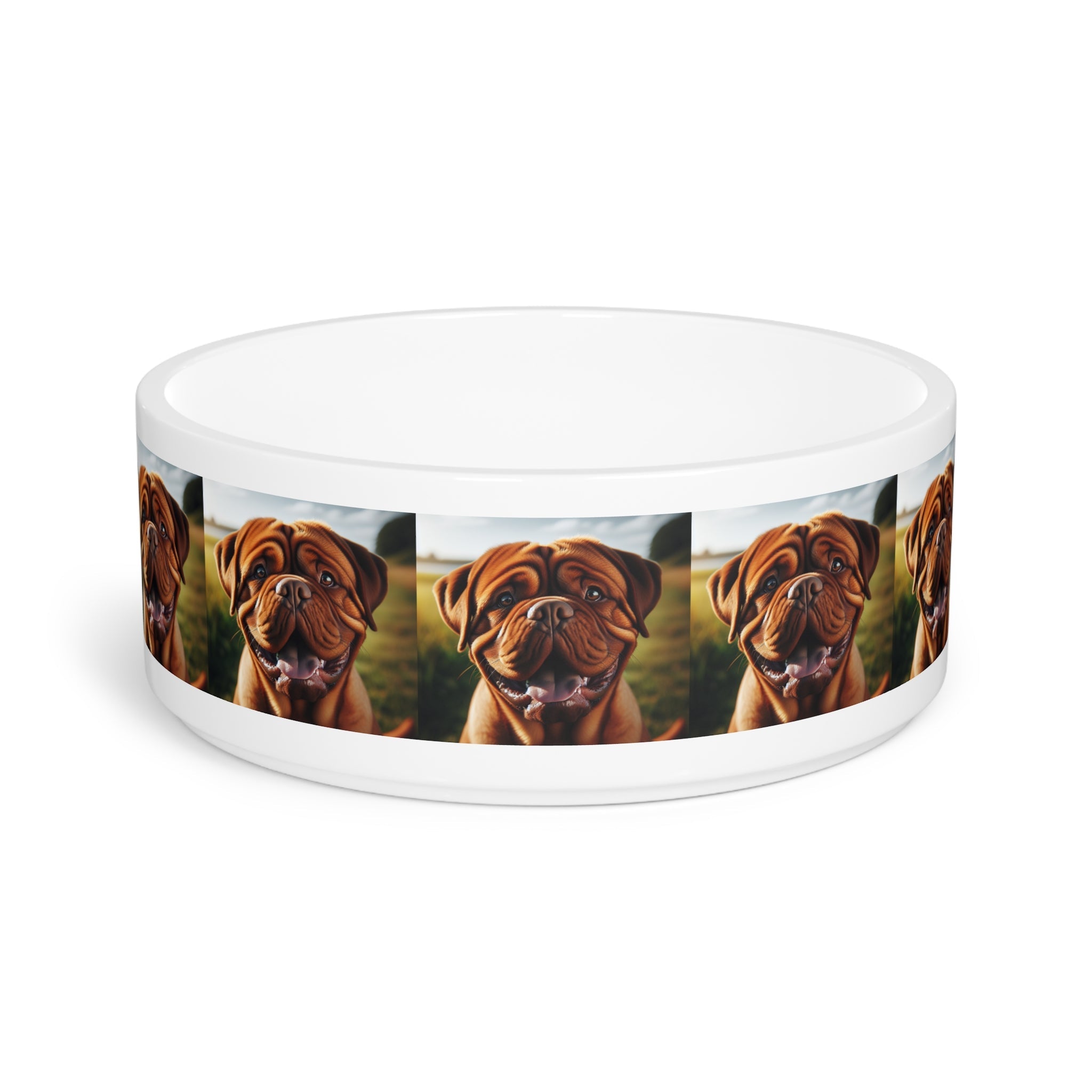 Ceramic Pet Bowl – 16 oz Dog Feeding Bowl