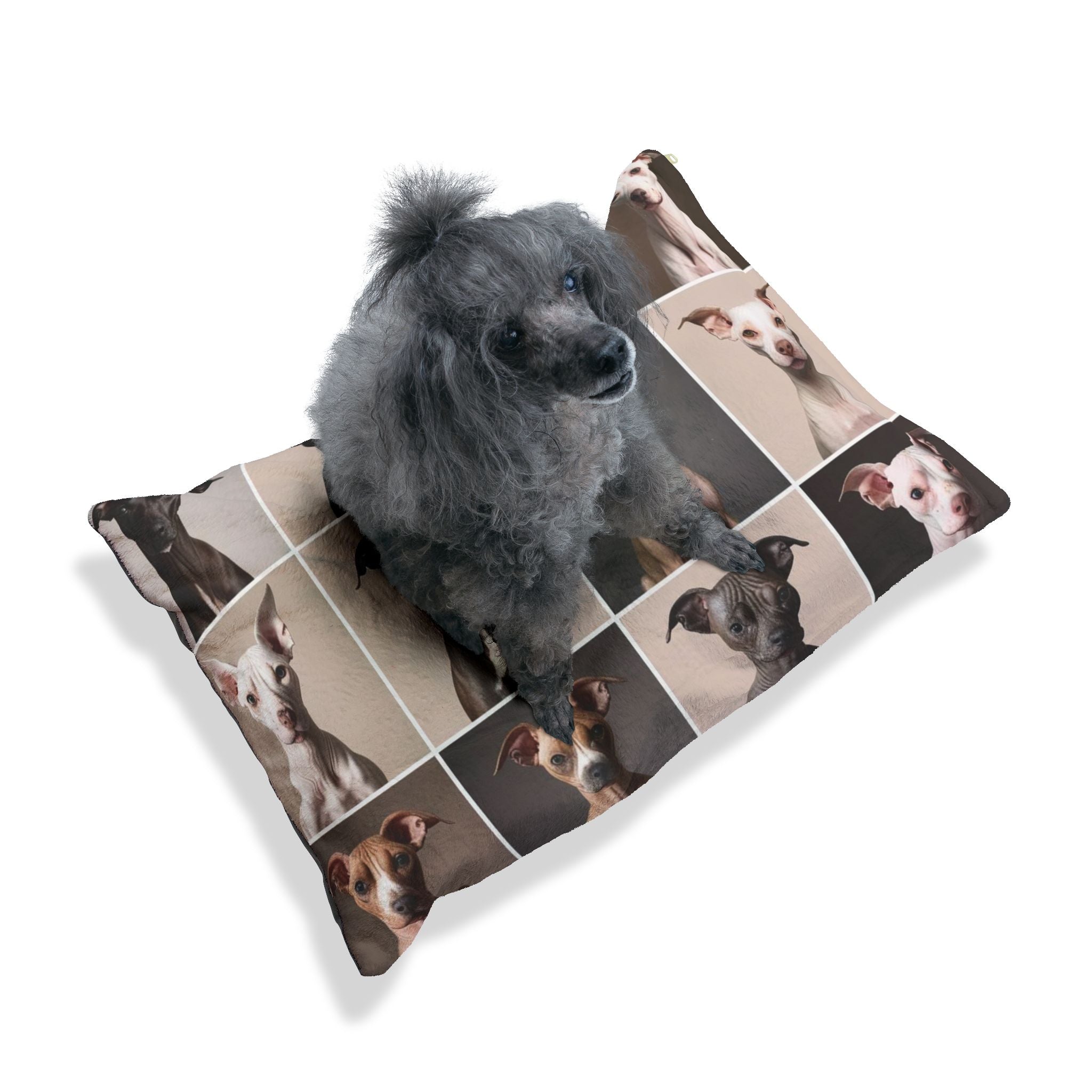 Pet Bed – Plush Dog Bed, 3 Size Options