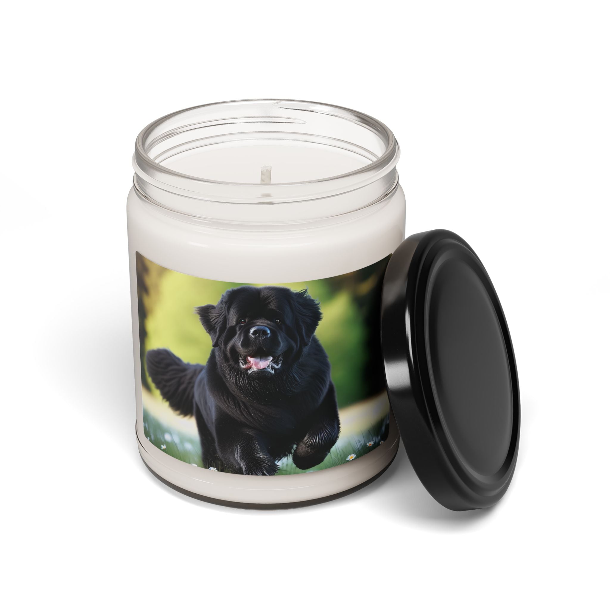 Soy Candle – Scented Jar Candle