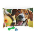 Pet Bed – Plush Dog Bed, 3 Size Options
