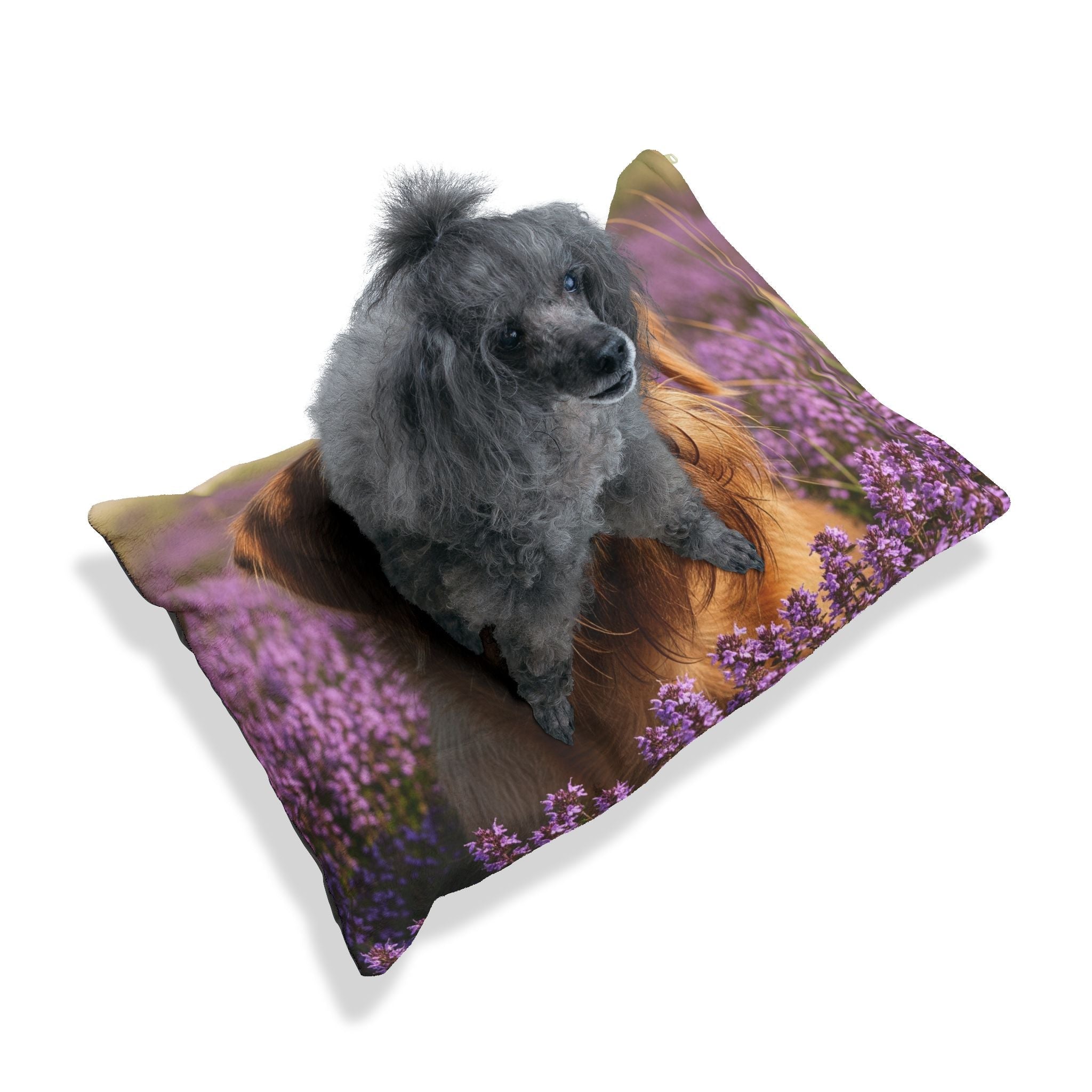 Pet Bed – Plush Dog Bed, 3 Size Options