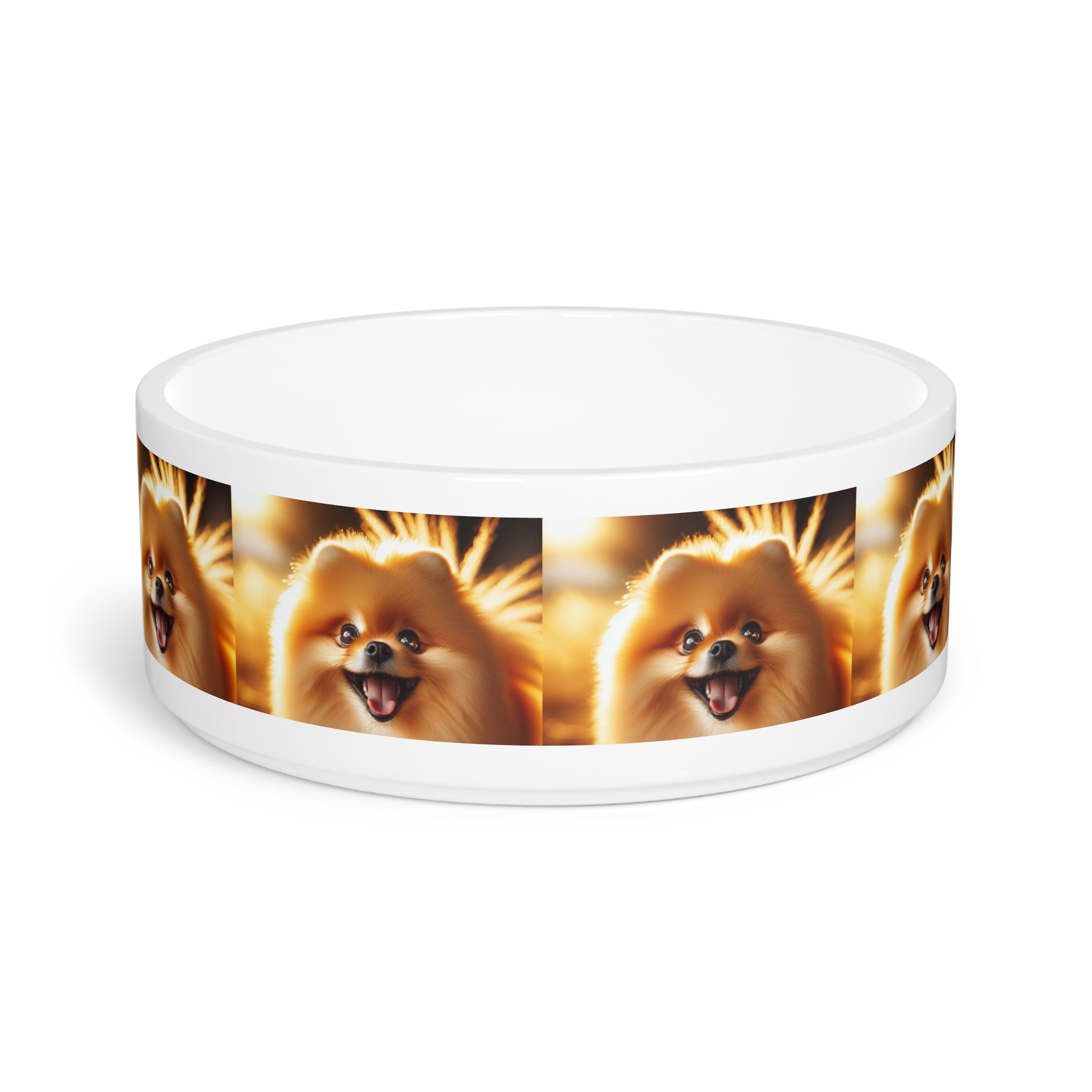 Ceramic Pet Bowl – 16 oz Dog Feeding Bowl